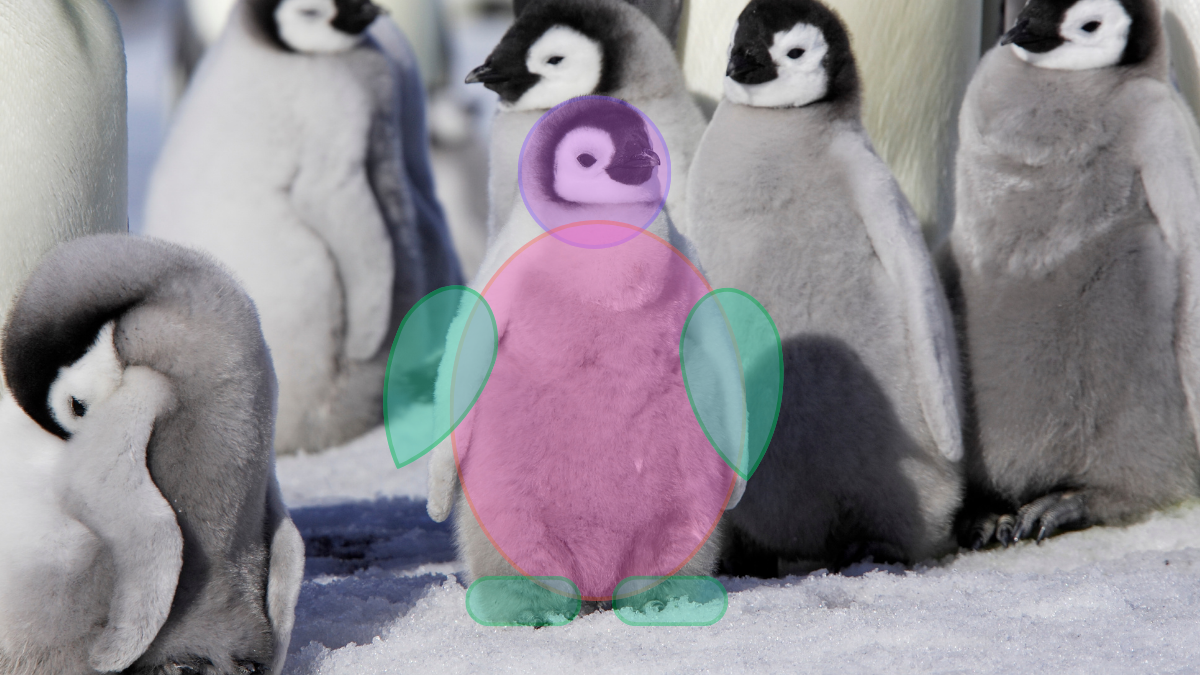 A penguin with simple shape overlays showing how each body part is broken down into basic forms for clay modeling