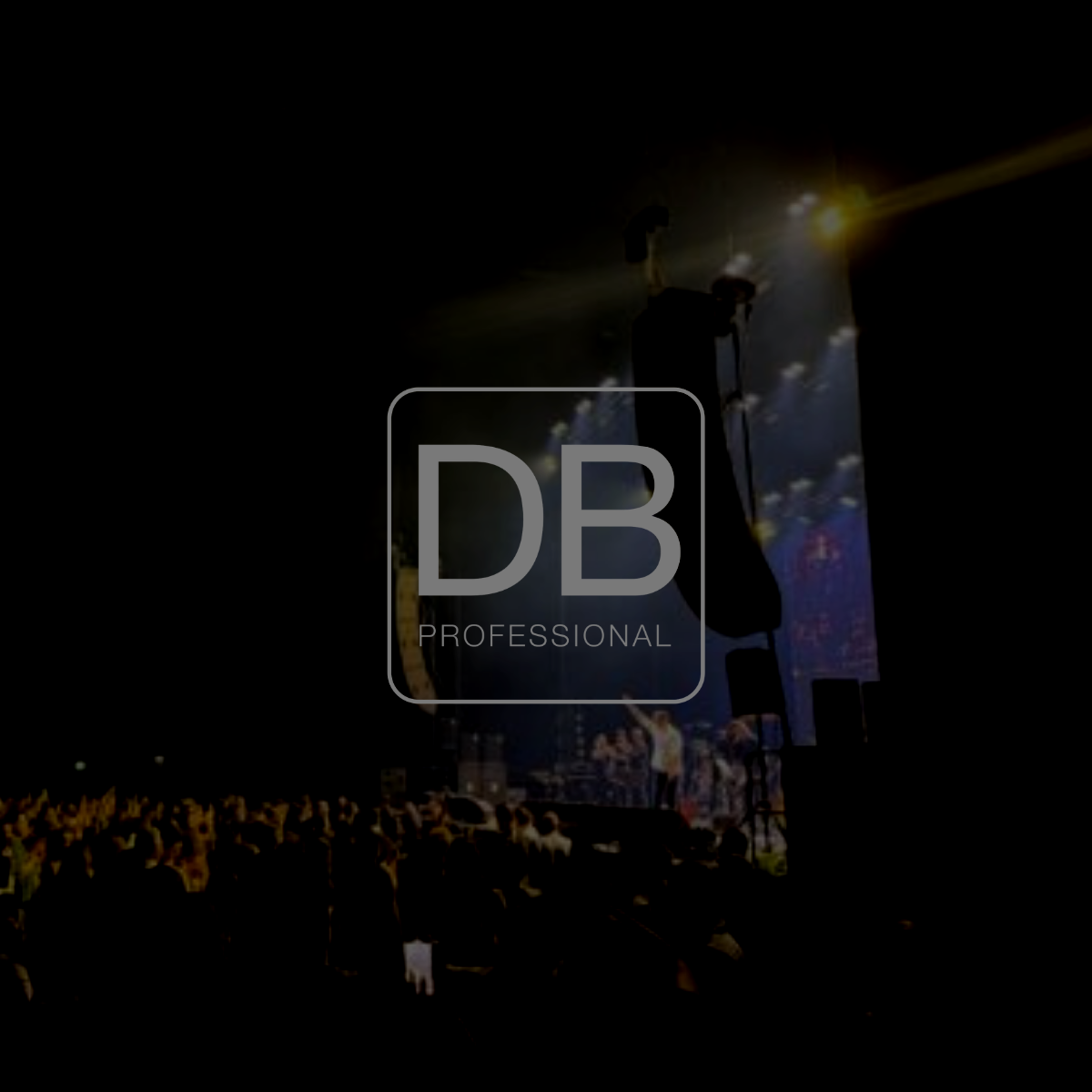 DB Professional