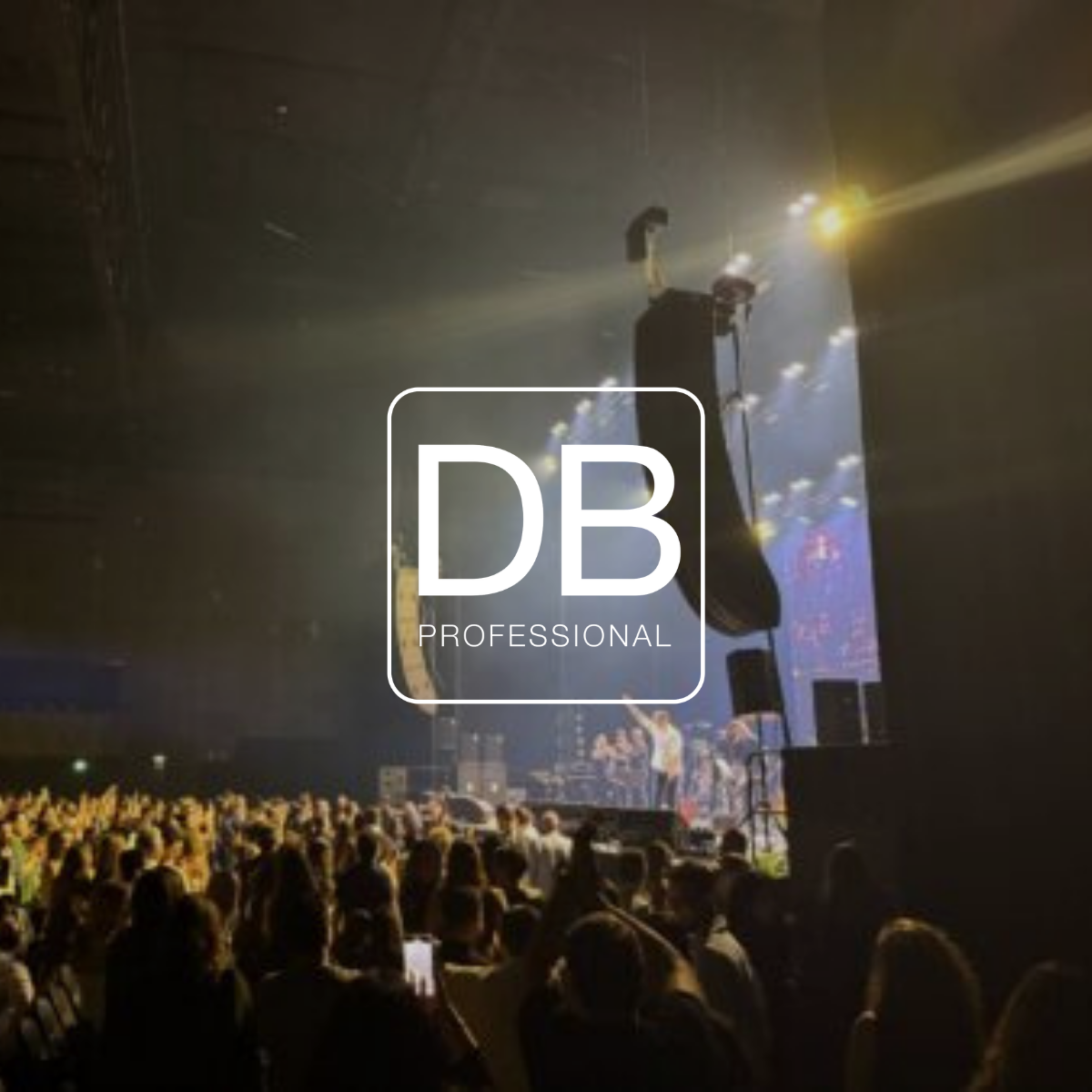 DB Professional