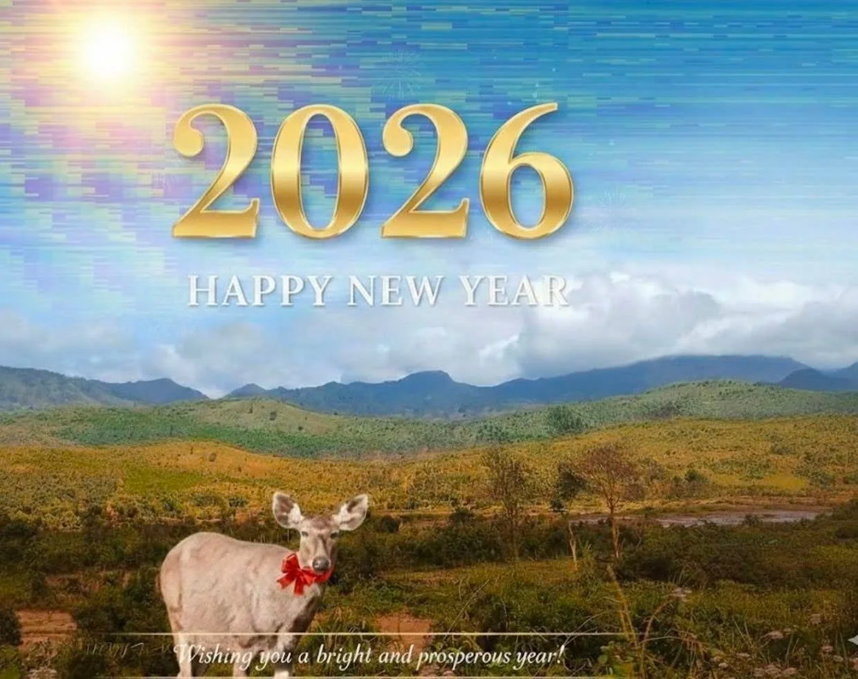 Exploring the Low-Frequency Universe: Highlights from BLADE 2025