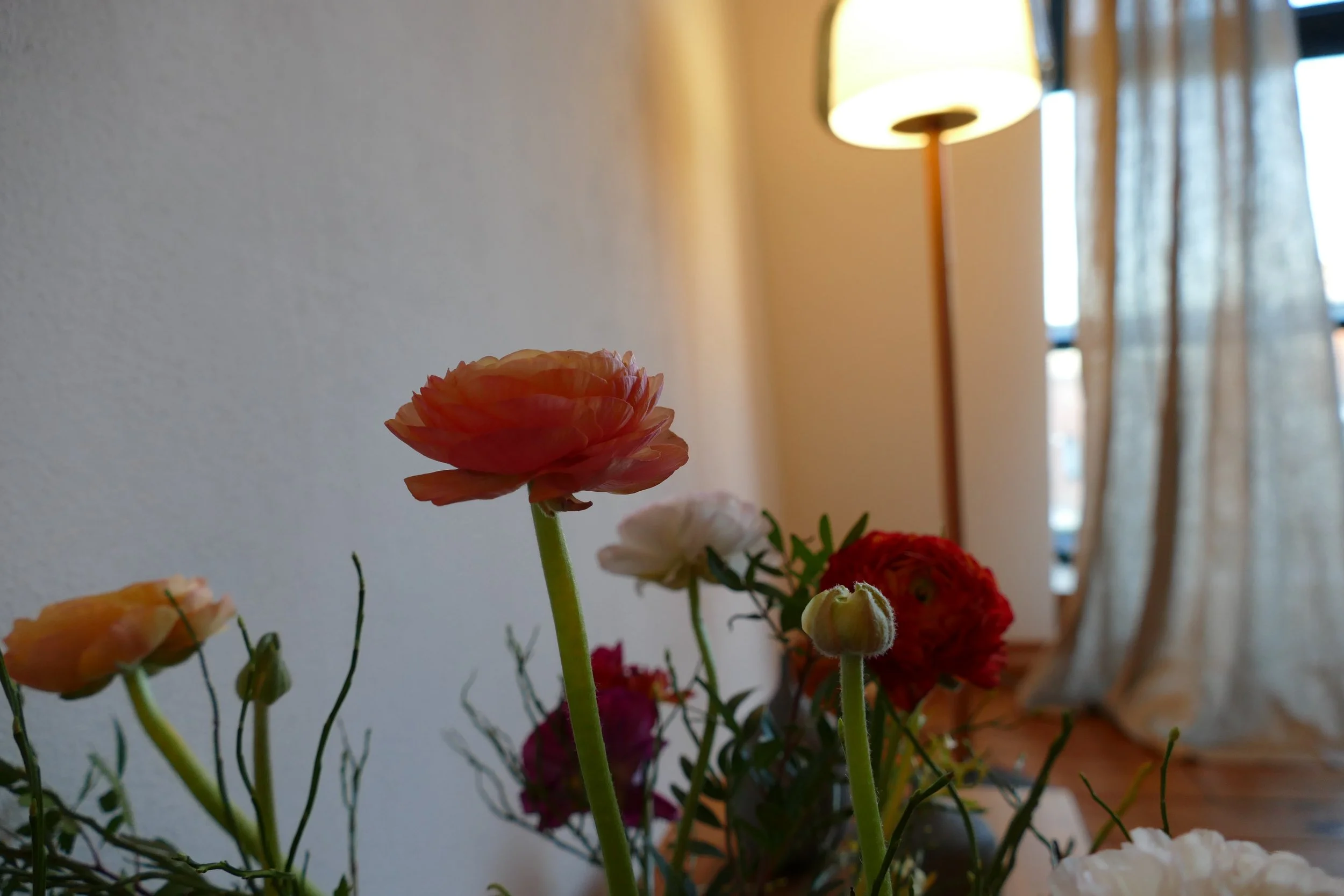 Bunte Blumen im Vordergrund, mit einer hell erleuchteten Stehlampe und Gardinen im Hintergrund.