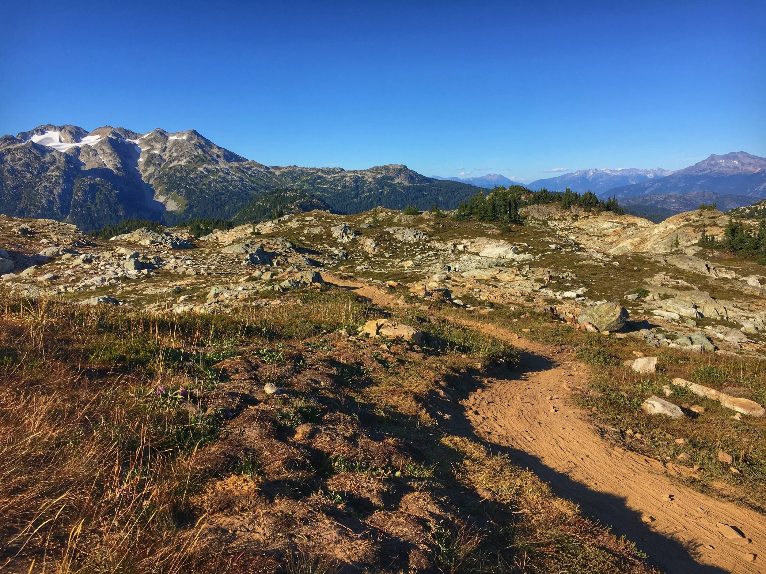 Dirt trail across an alpine meadow toward snow-capped mountains