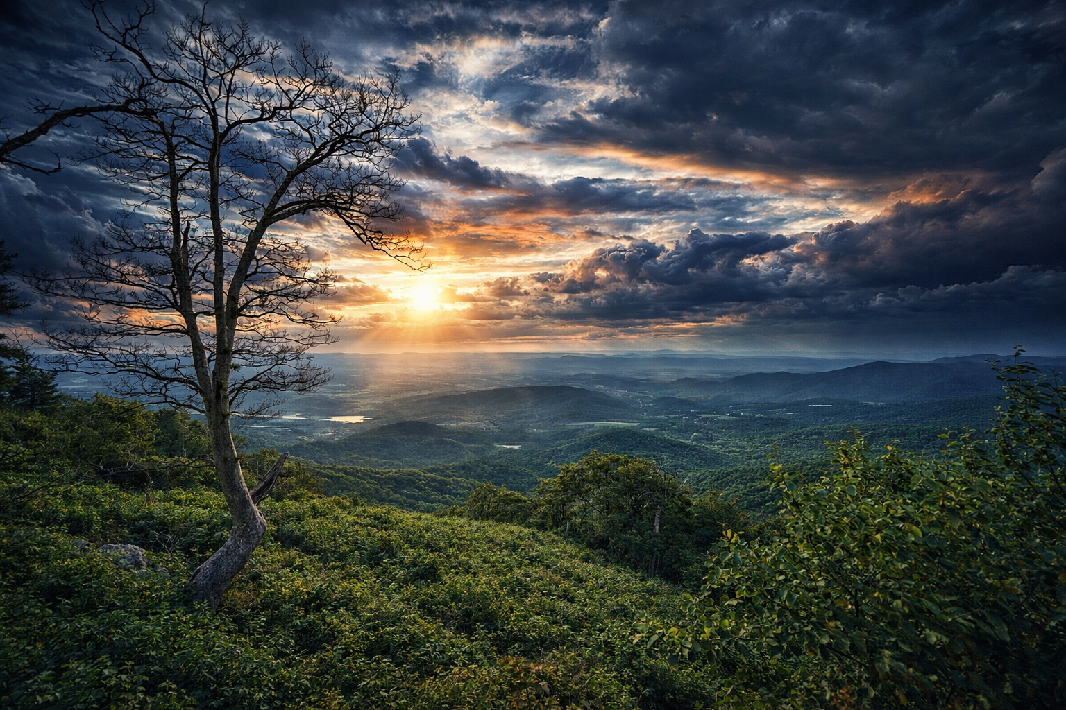 D3E7D040-DE7A-41FA-81CF-AED11875504D 2.PNG