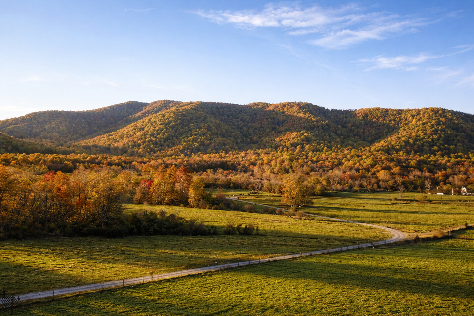 Scenic view of rolling hills covered in trees with autumn foliage, a winding dirt road, and a partly cloudy sky.