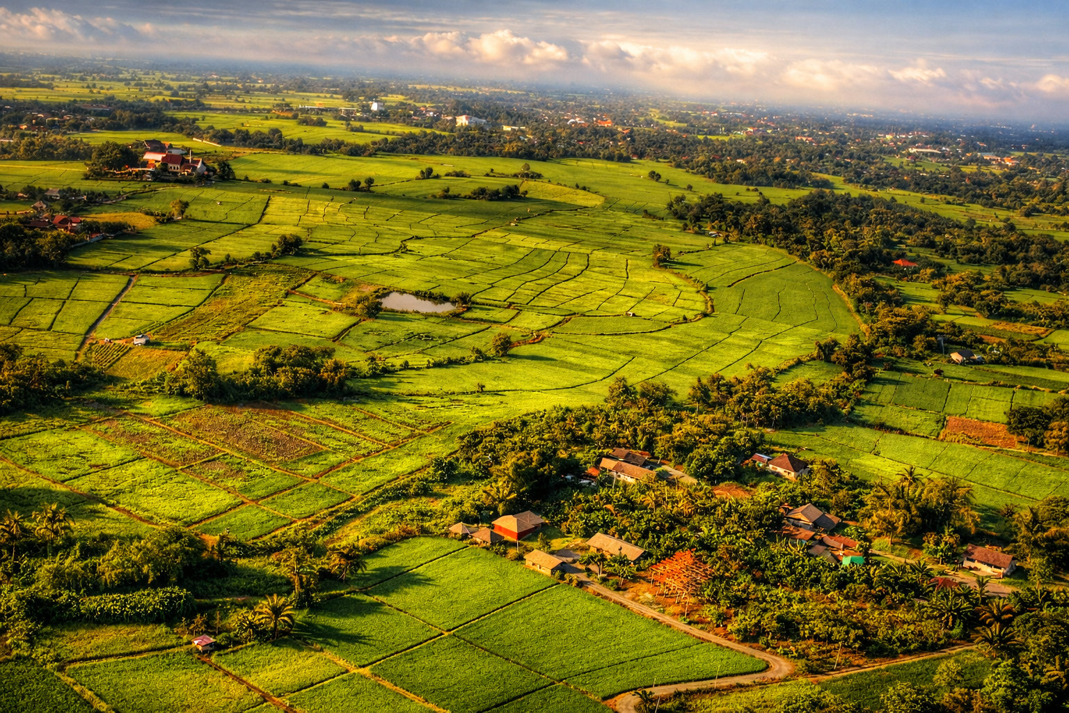 Aerial view of lush green rice paddies and small houses in a rural landscape during daytime with a partly cloudy sky.