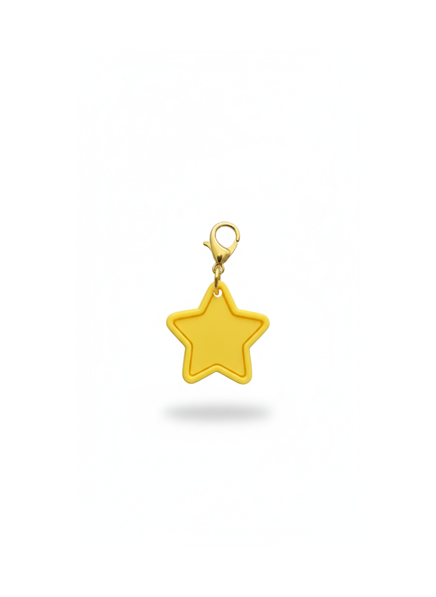 Star Mini Charm