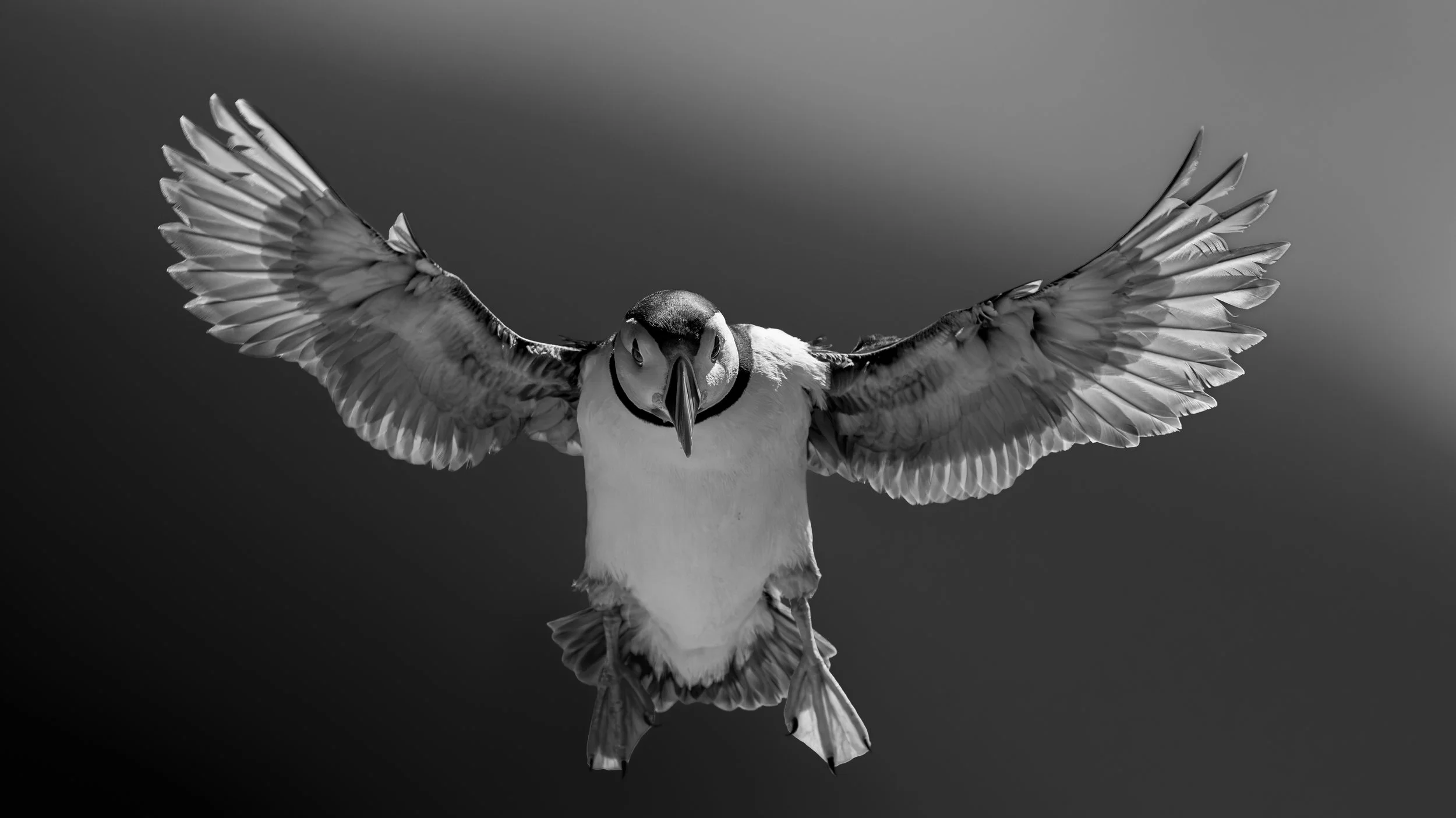 GB Coast 25 (4029).JPG