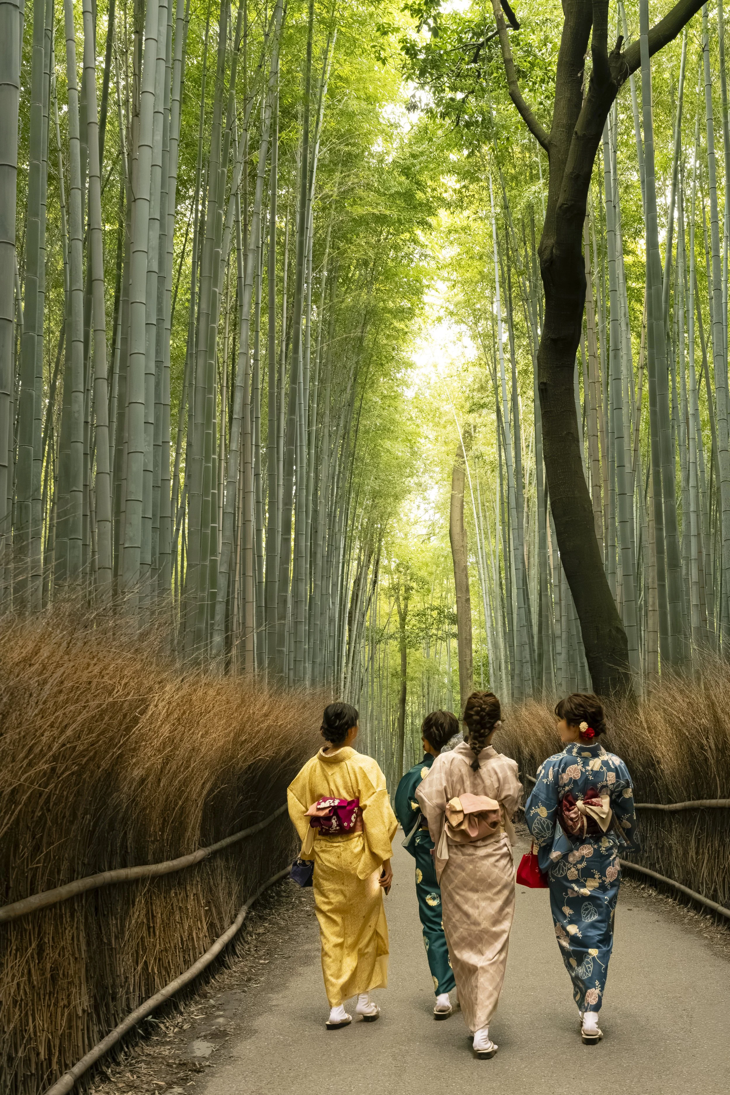 Japan 2020 (1797).JPG