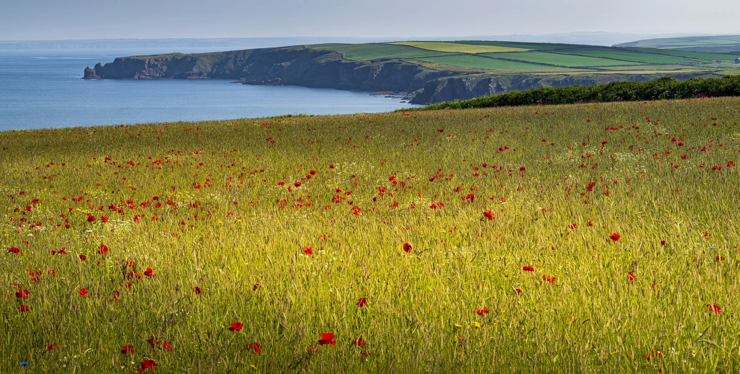 GB Coast 25 (1729)-Pano.JPG