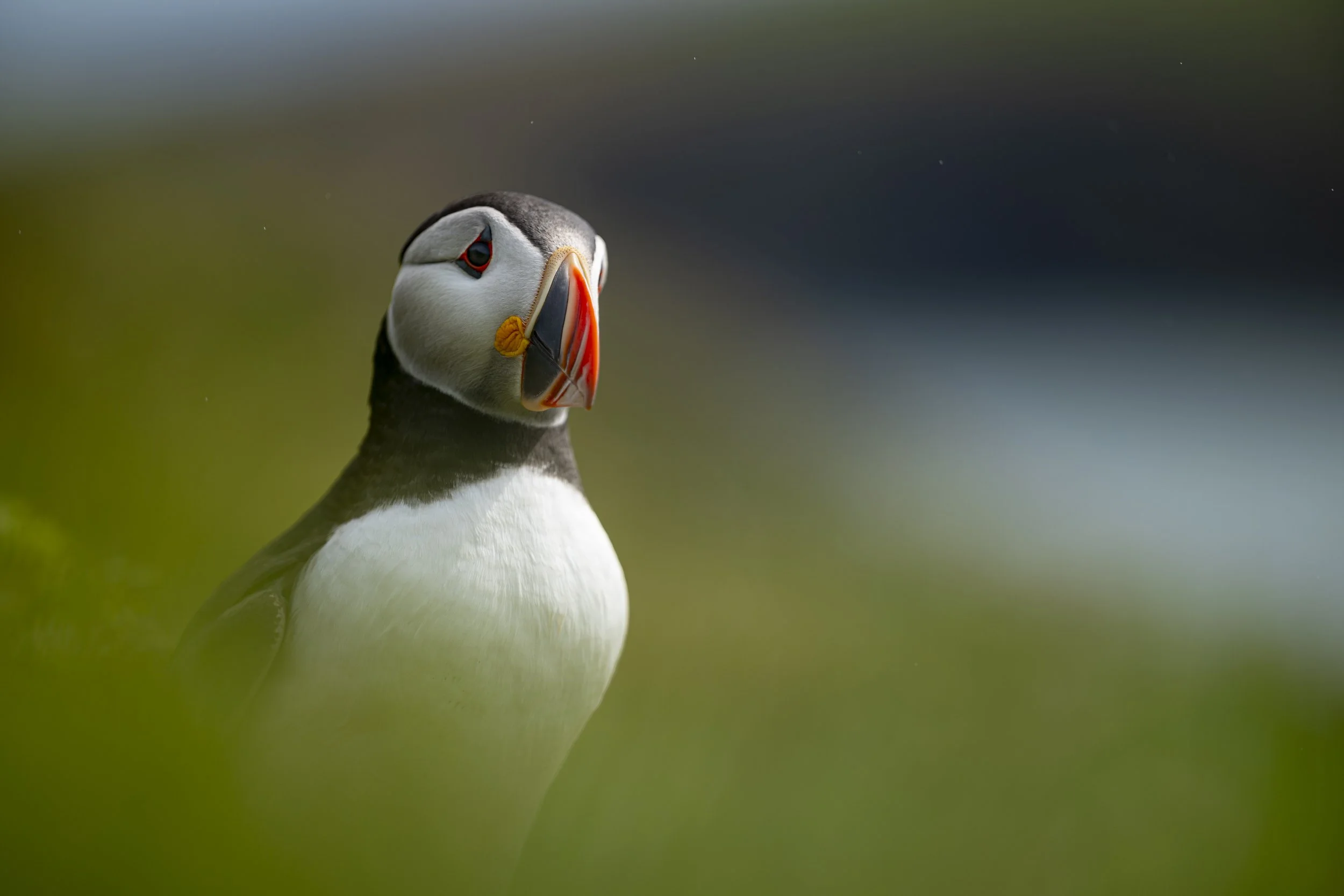 GB Coast 25 (807).JPG