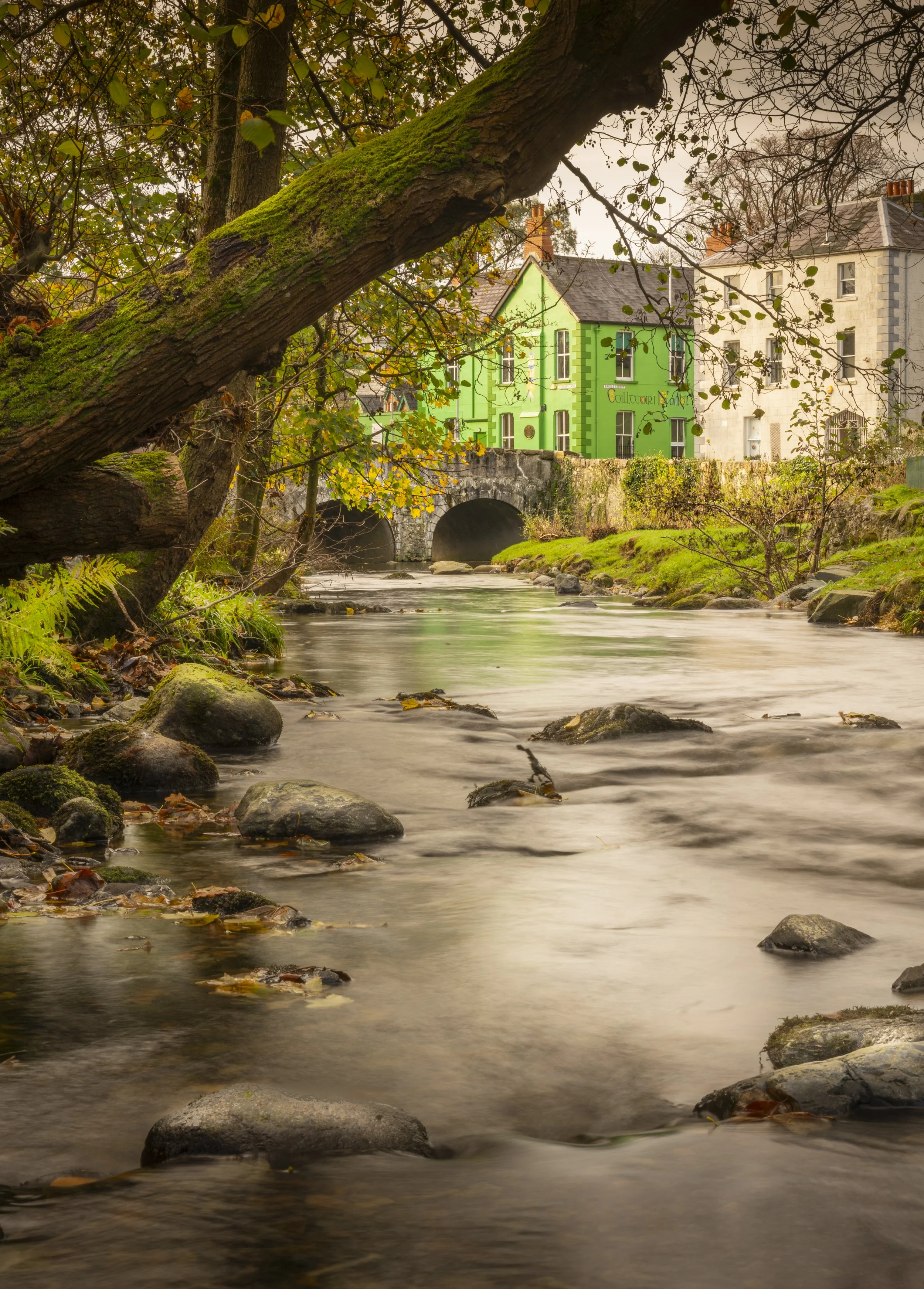 Northern Ireland - Nov 2025 (35) Rostrevor.JPG