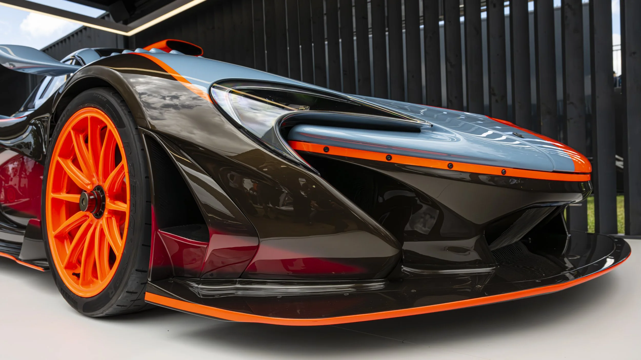 G-Wood 2024 (932)-Enhanced-NR.JPG