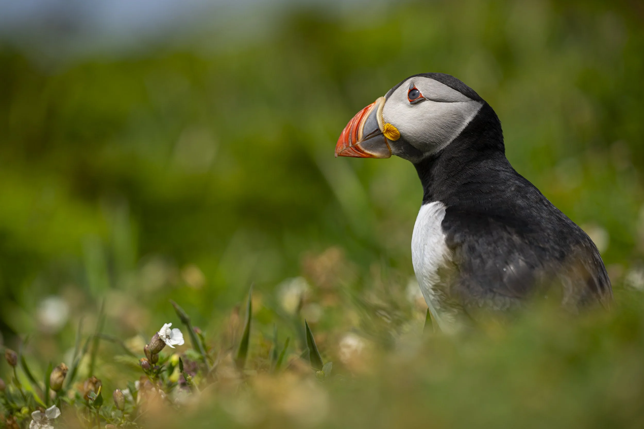 GB Coast 25 (855).JPG