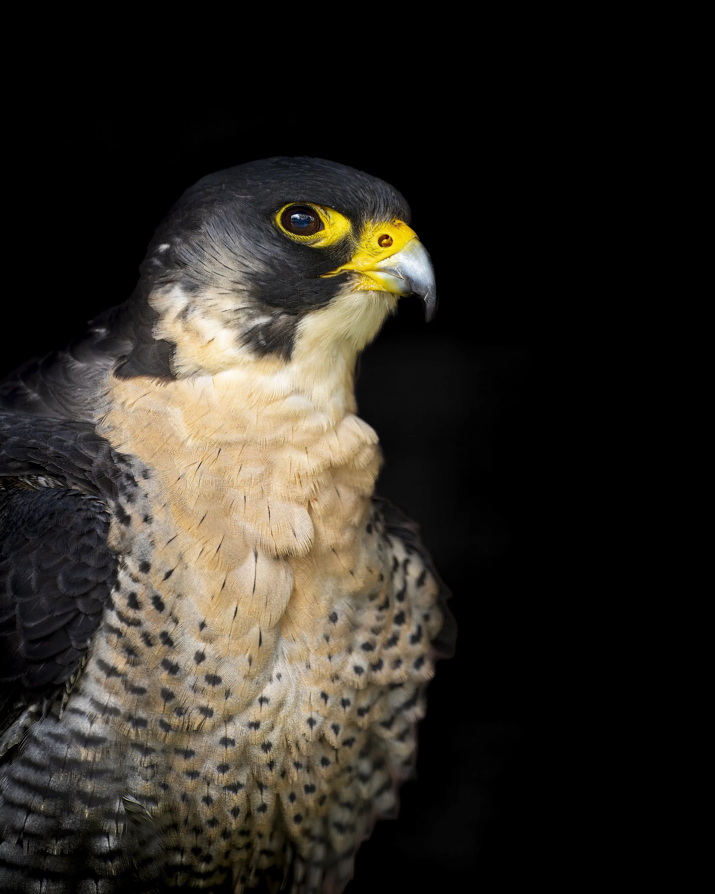 GB Coast 25 (4977).JPG