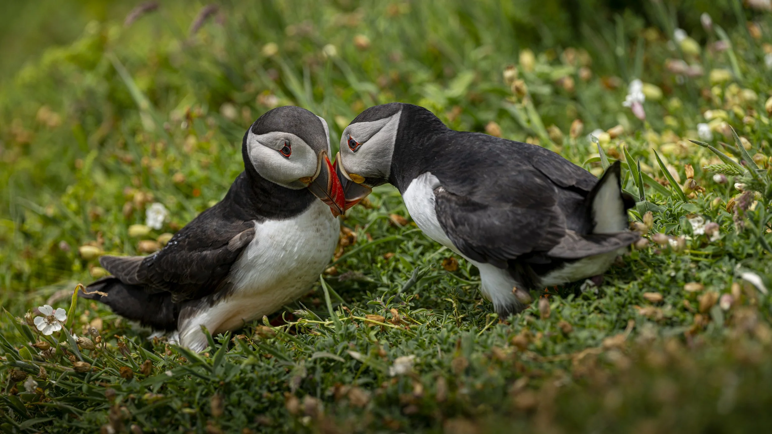 GB Coast 25 (947).JPG