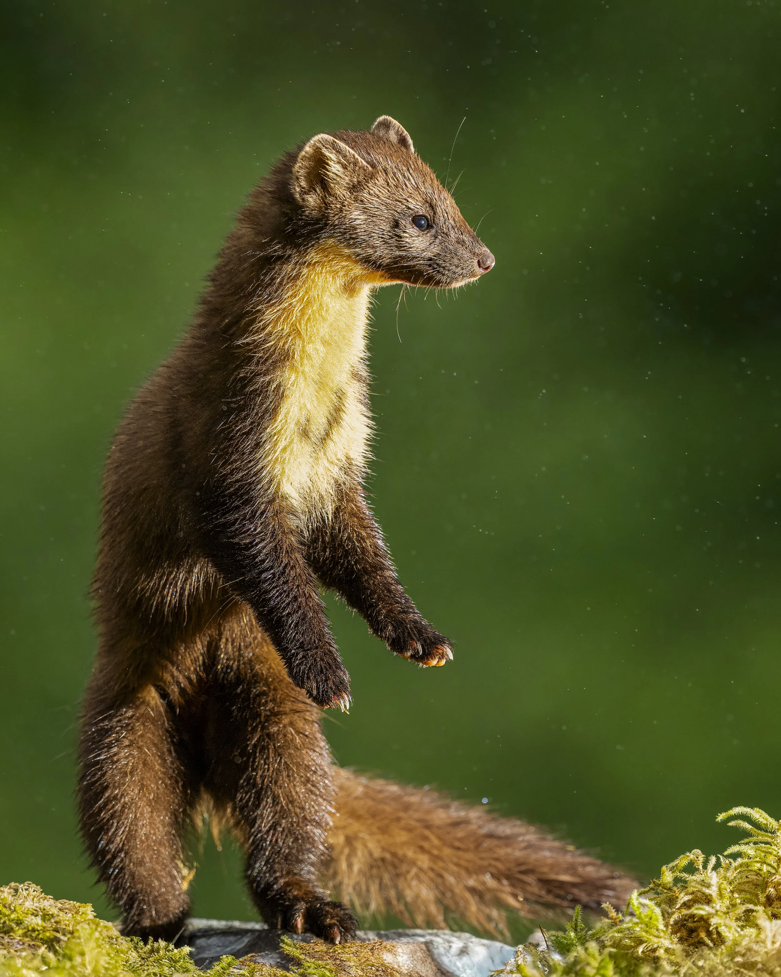 GB Coast 25 (2199)-Edit.JPG