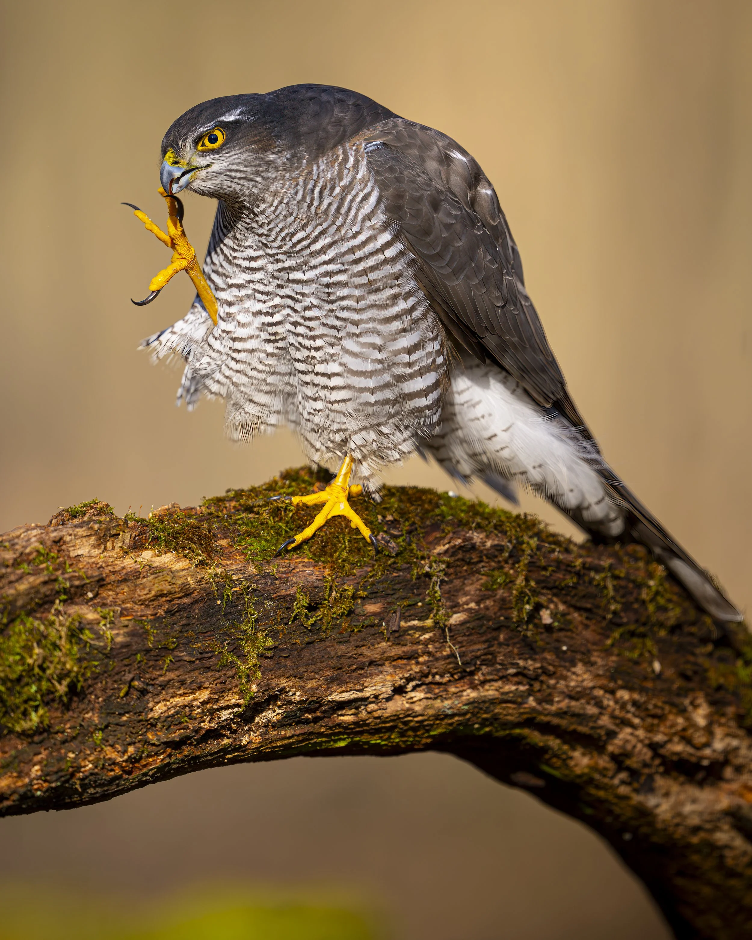 Hungary - Jan 2025  (11066)-Enhanced-NR-Edit-2.JPG