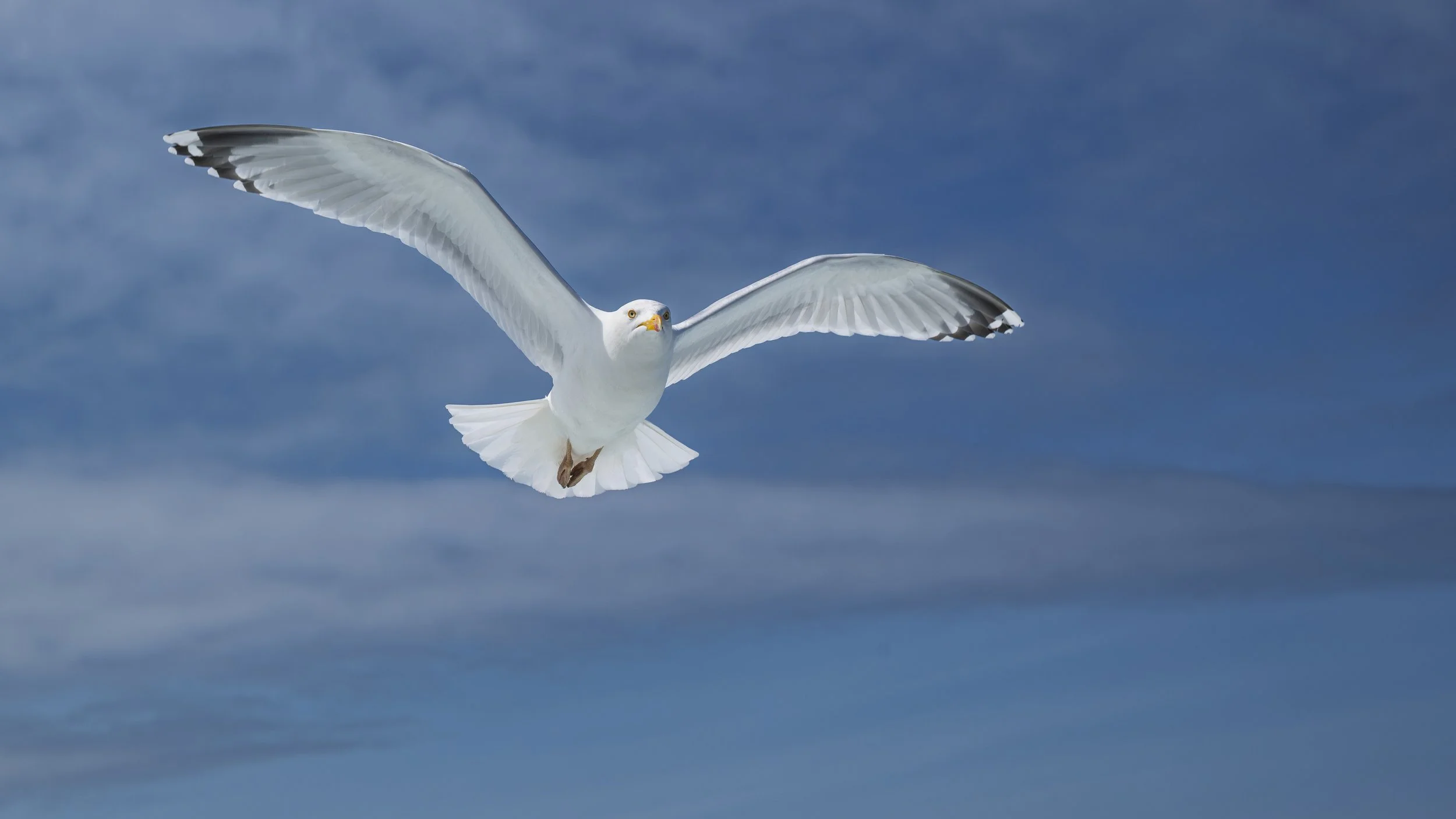 GB Coast 25 (1013).JPG