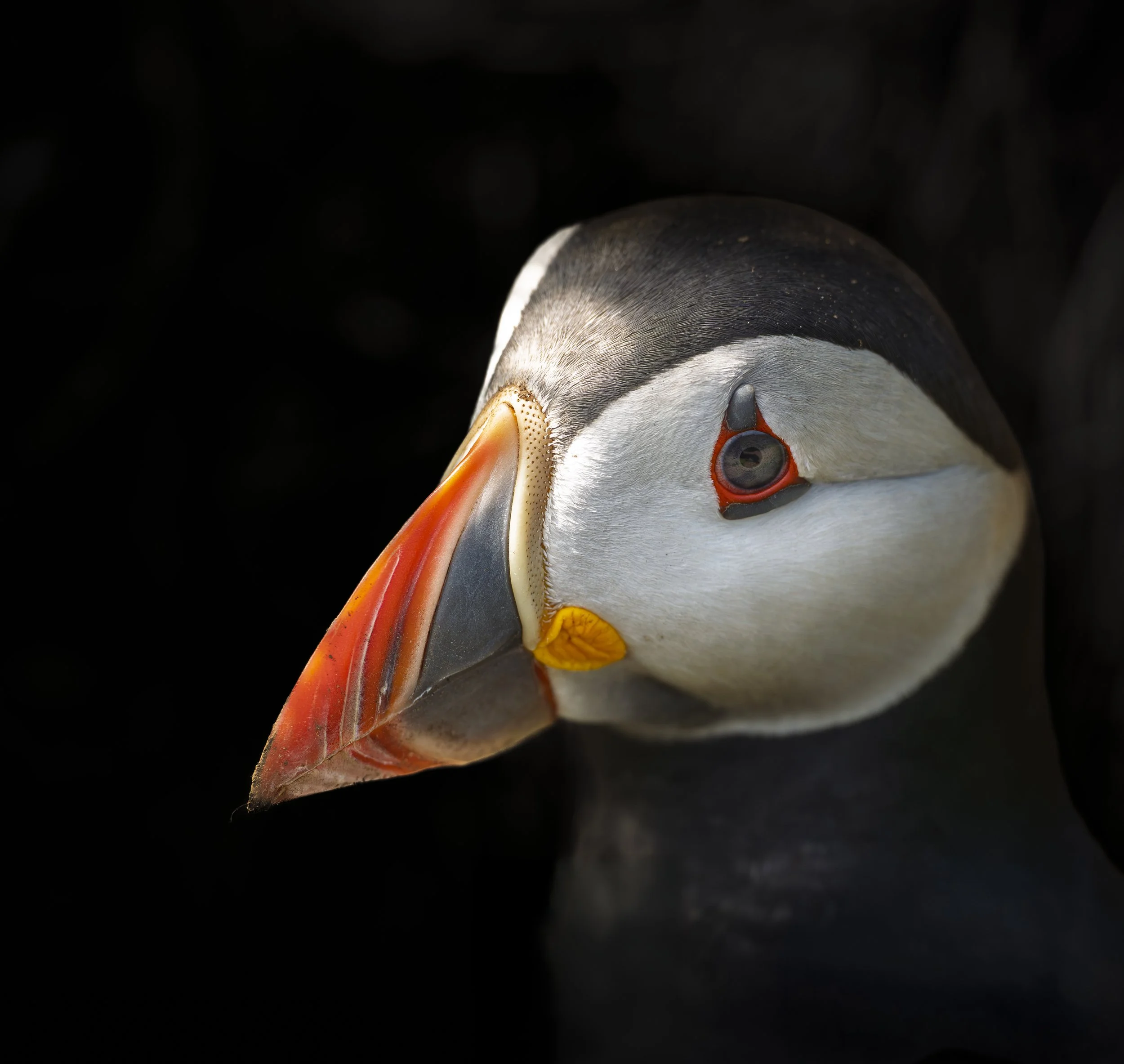 GB Coast 25 (999)-Edit.JPG