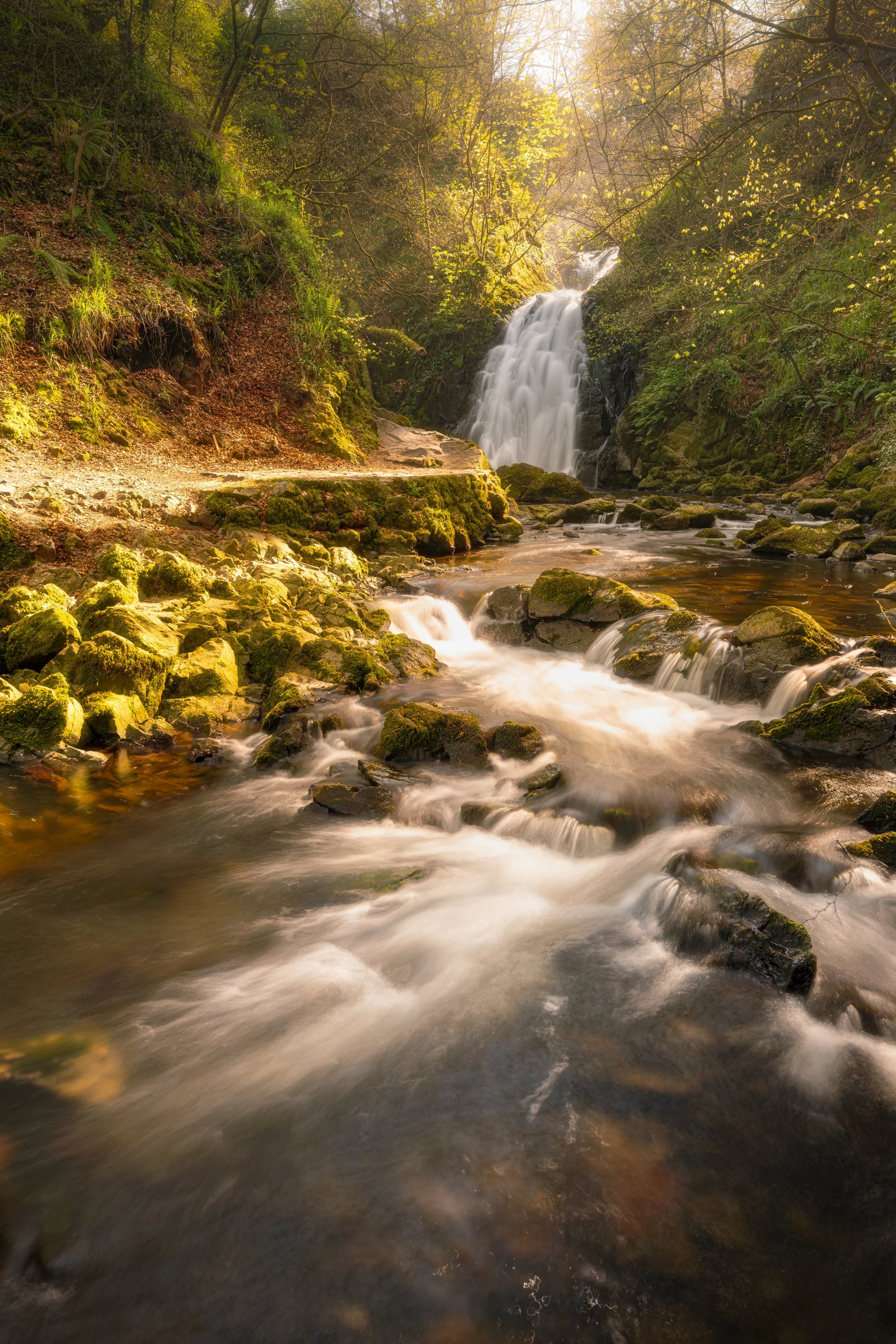 Ireland - Apr 2026 (5)-Edit.JPG