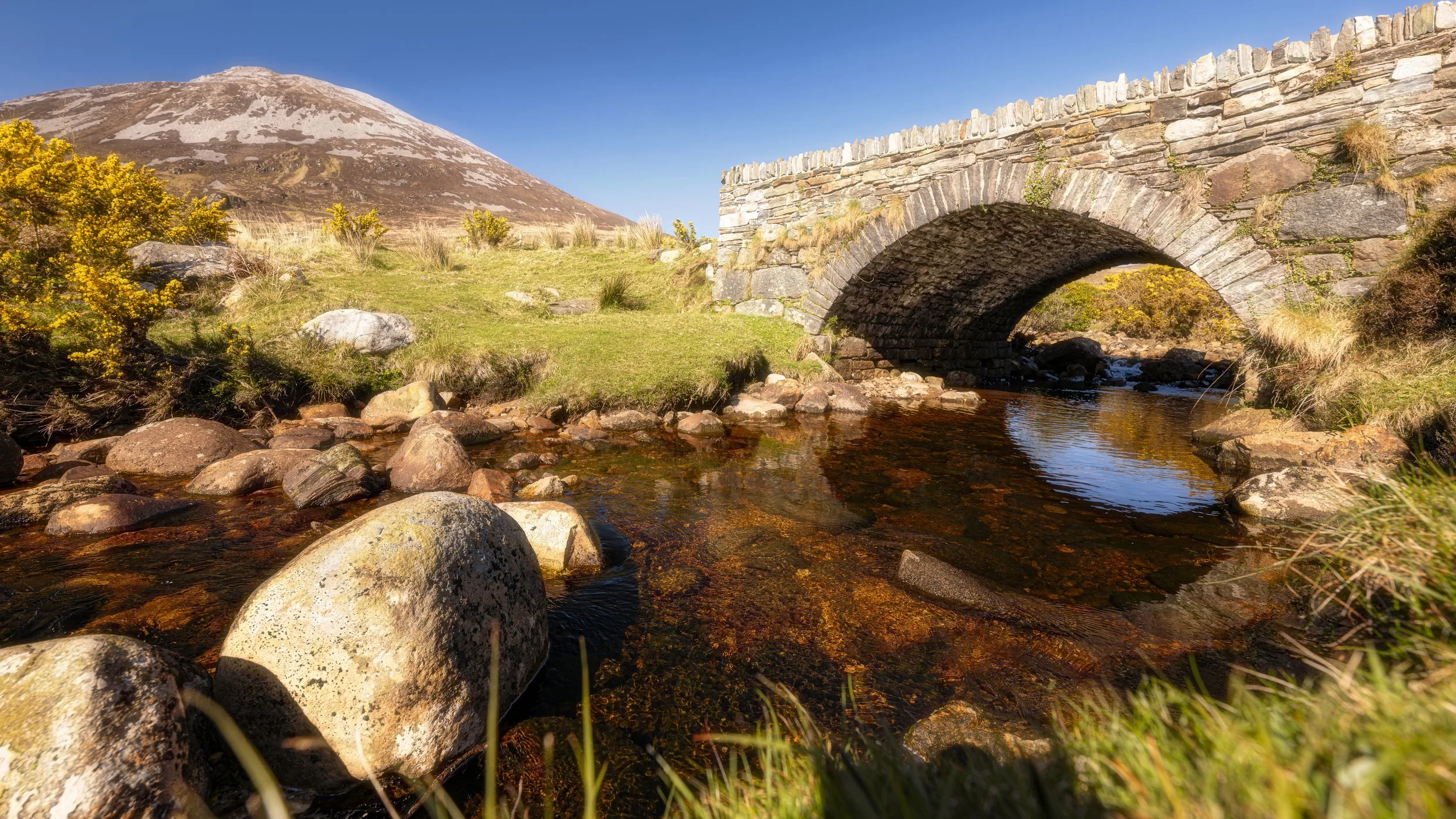 Ireland - Apr 2026 (442)-Edit.JPG
