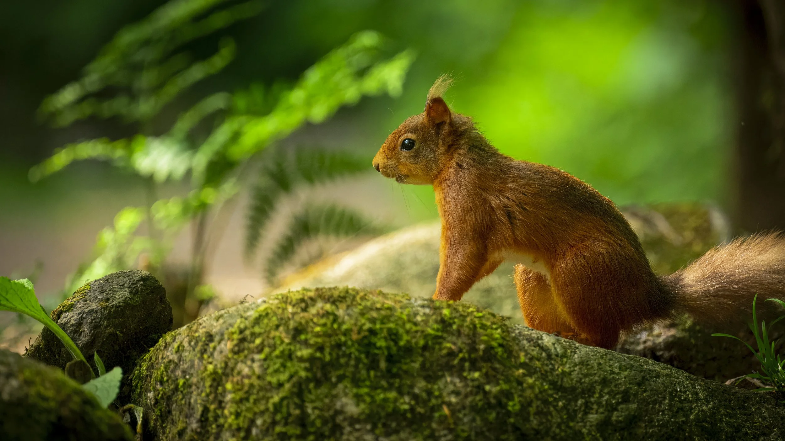 GB Coast 25 x (2478).JPG