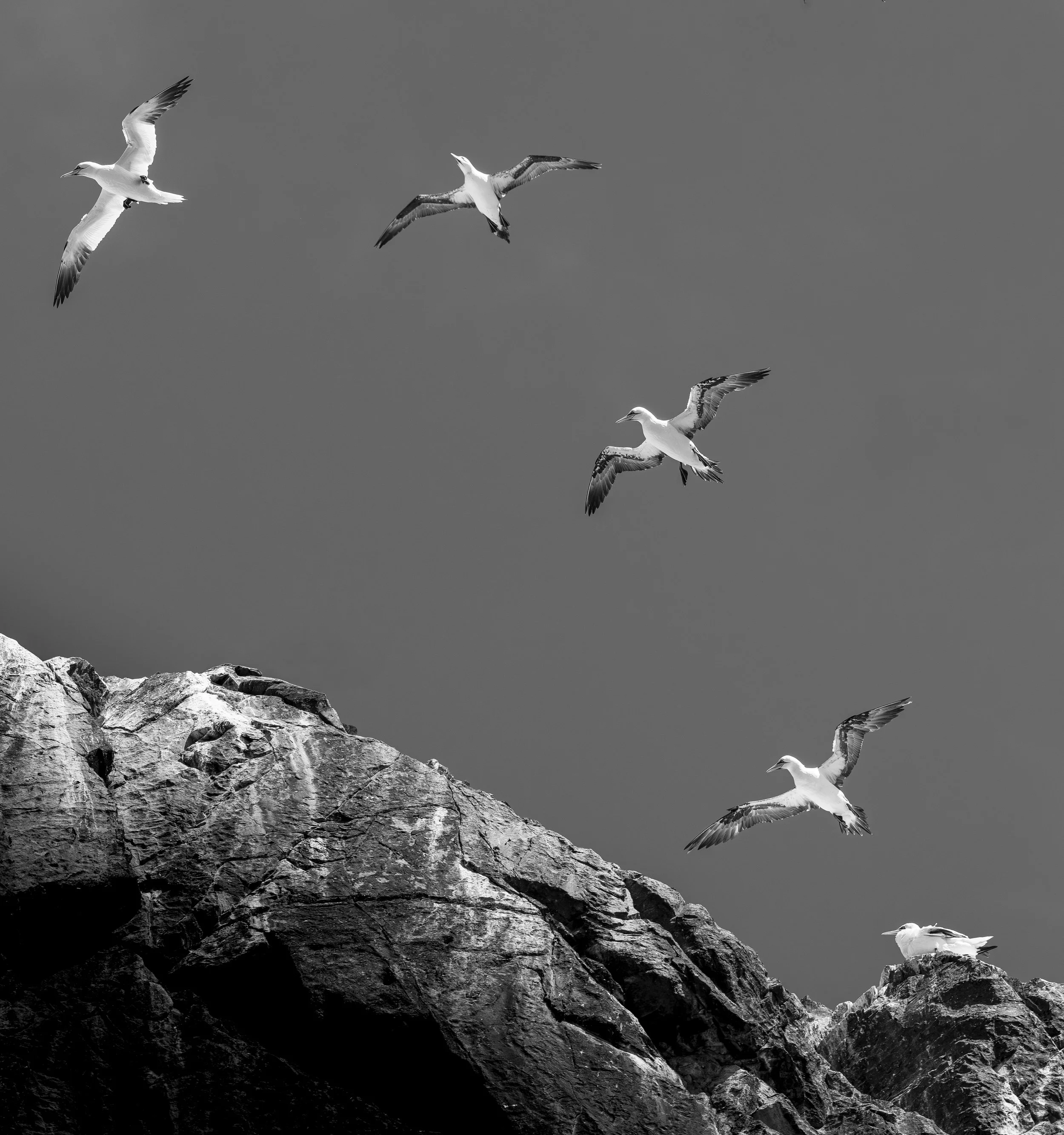 GB Coast 25 (4405)-Edit.JPG