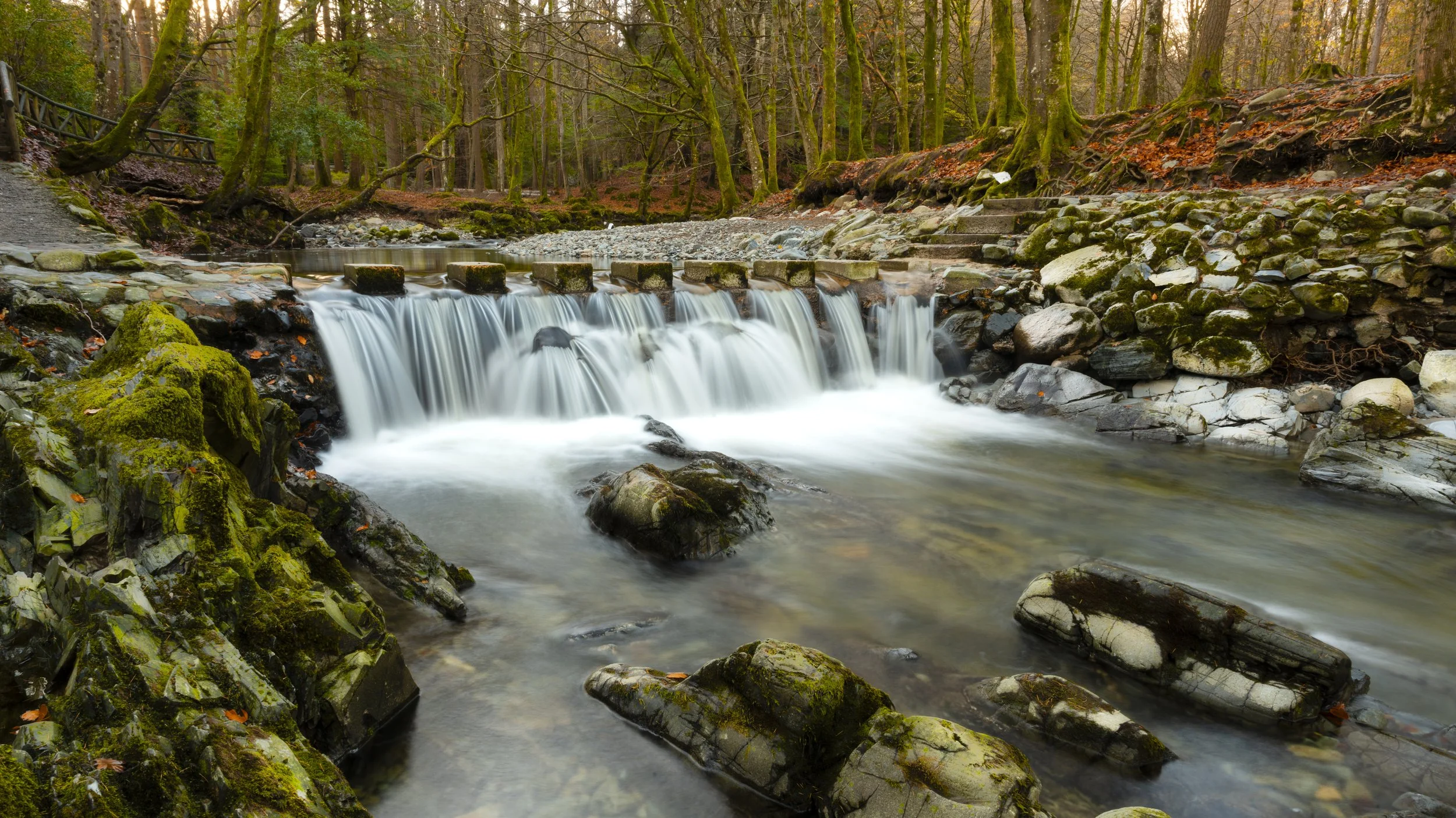 Northern Ireland - Nov 2025 (285).JPG