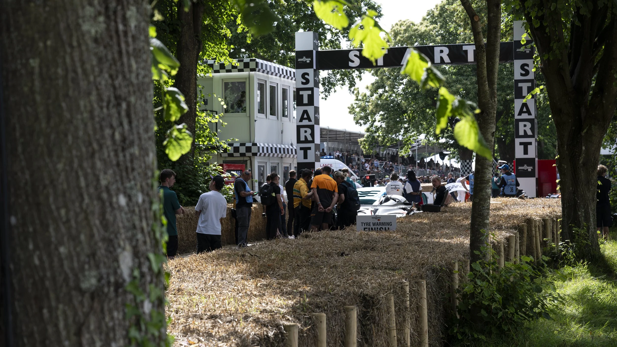 G-Wood 2024 (202)-Enhanced-NR.JPG