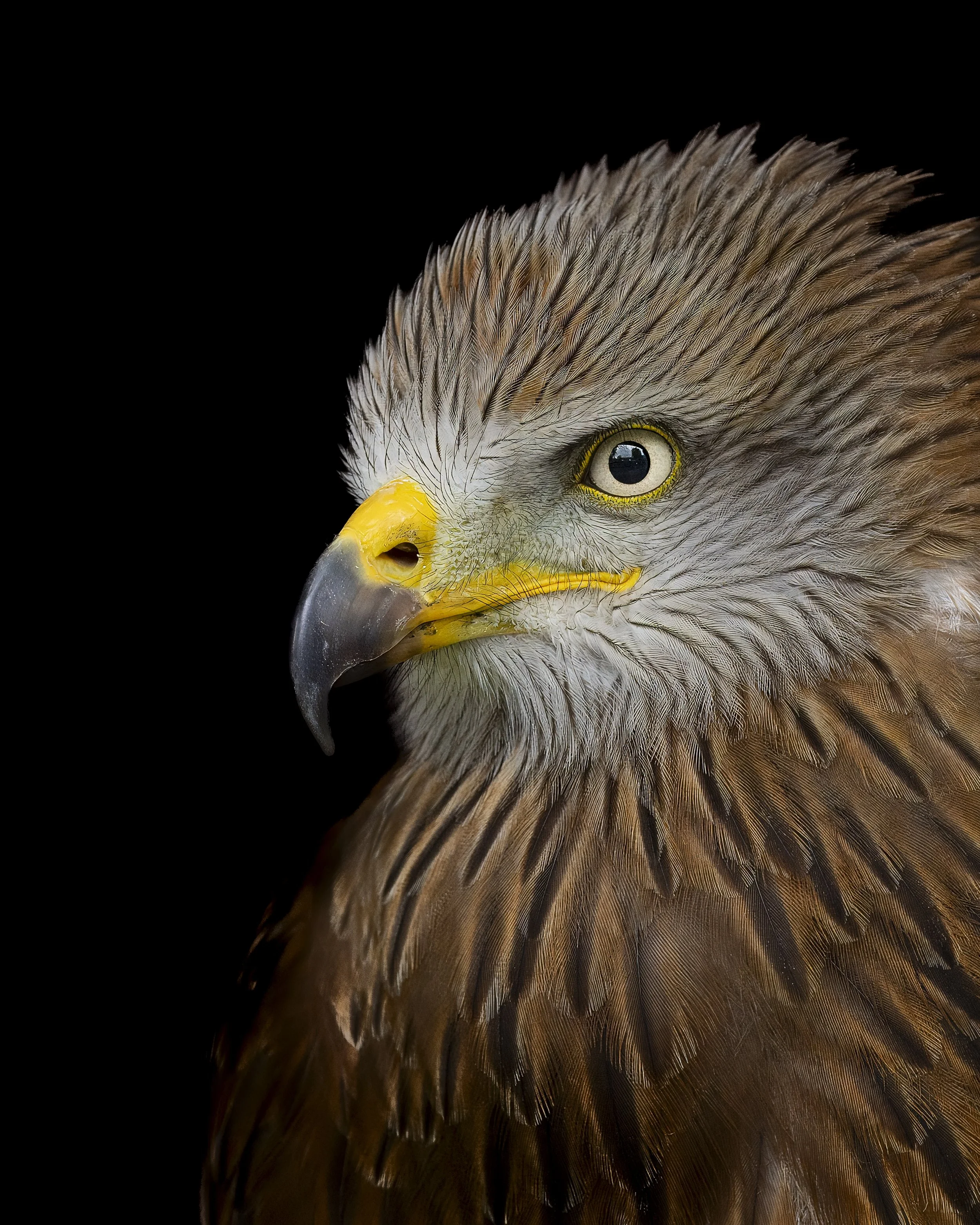 GB Coast 25 (4995).JPG