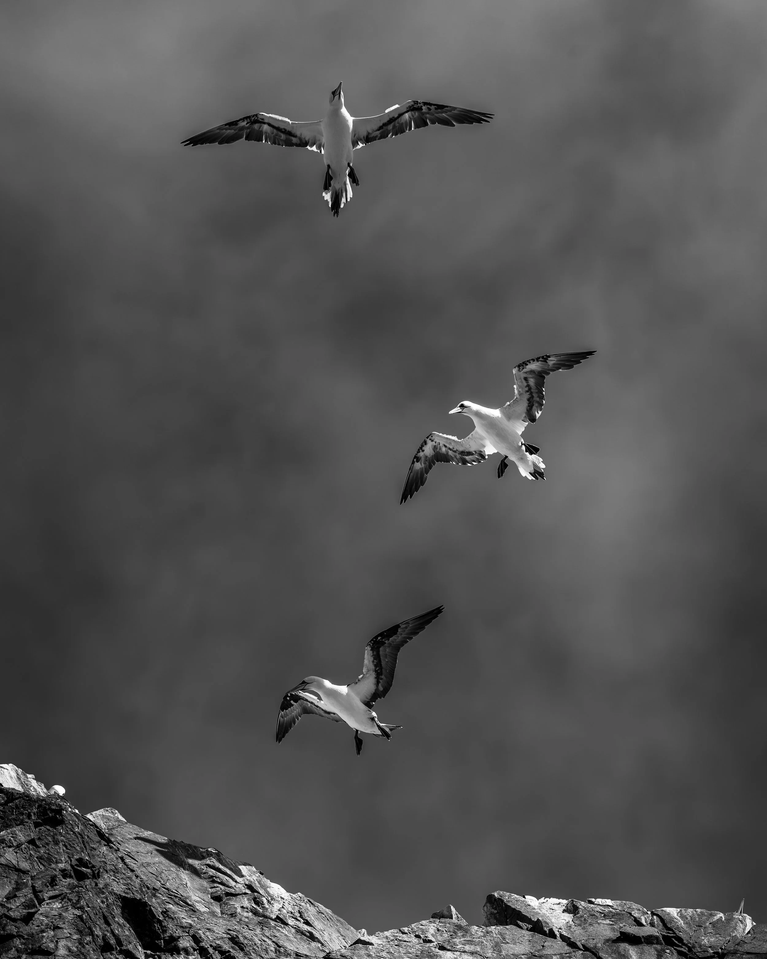 GB Coast 25 (4402).JPG