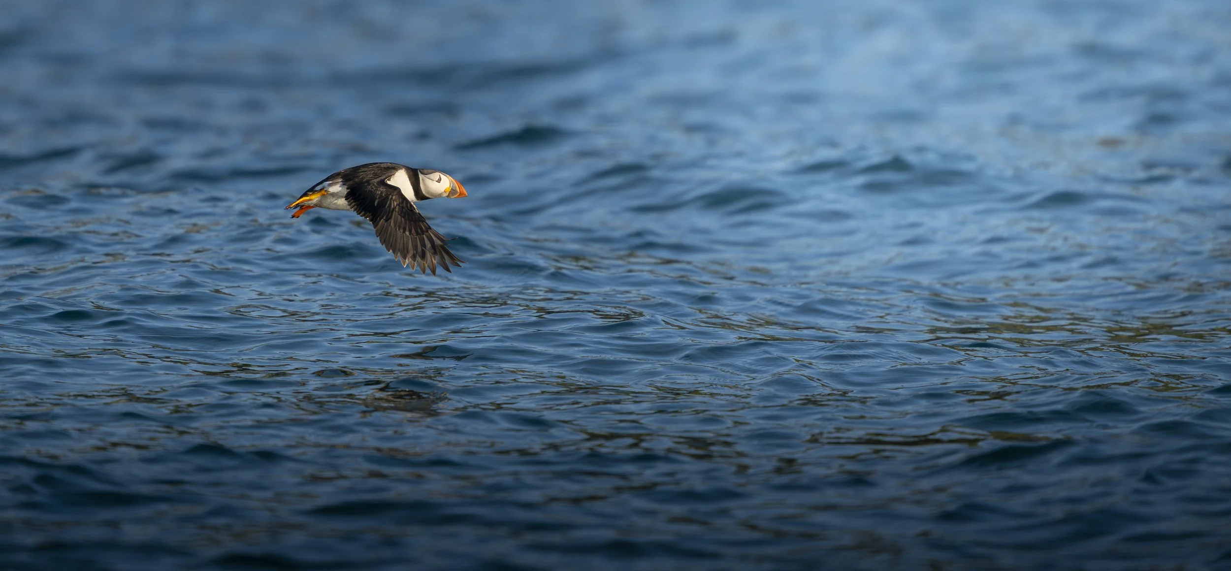 GB Coast 25 (669).JPG