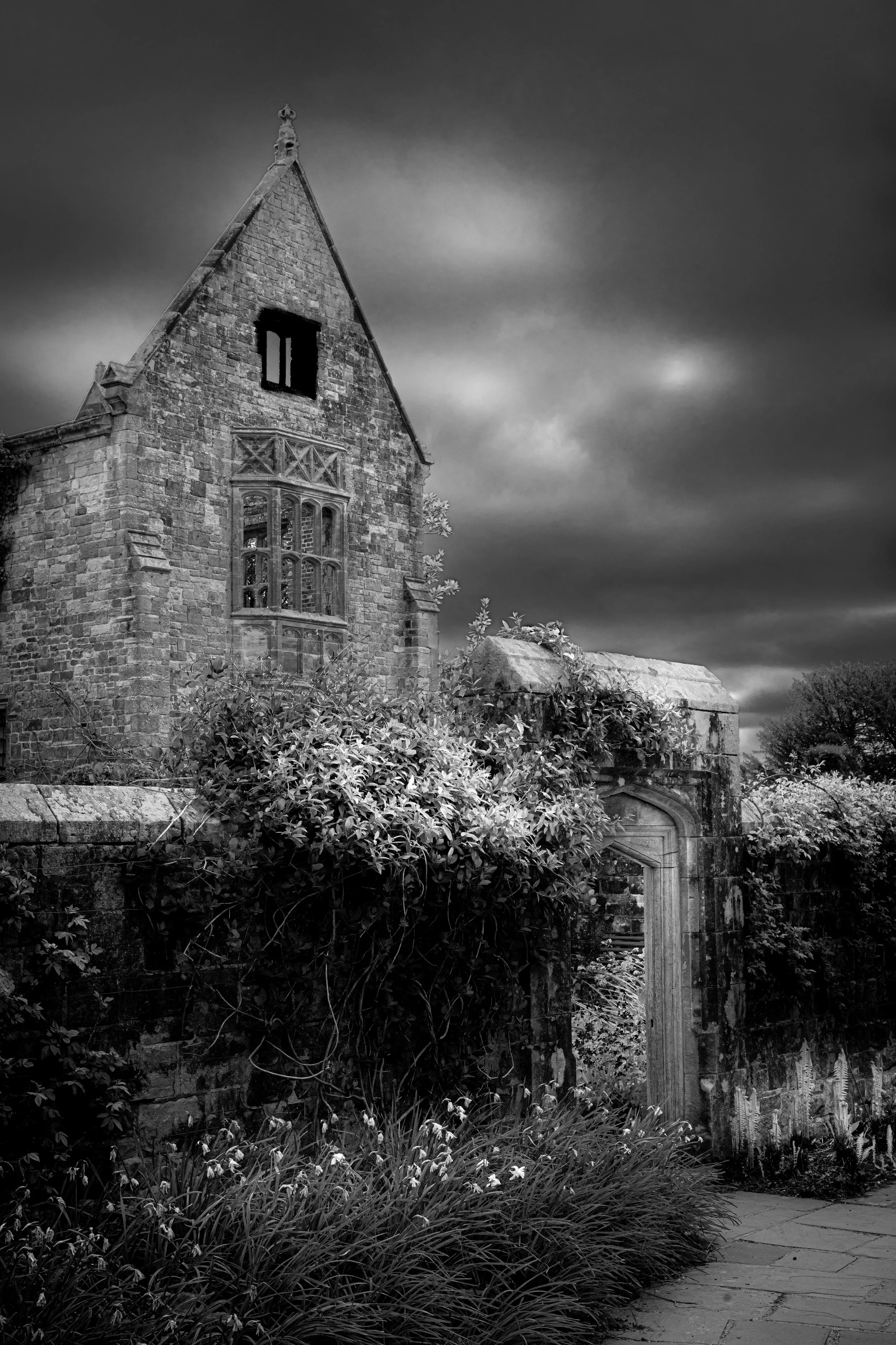 Nymans 2024 NIK0027.jpg