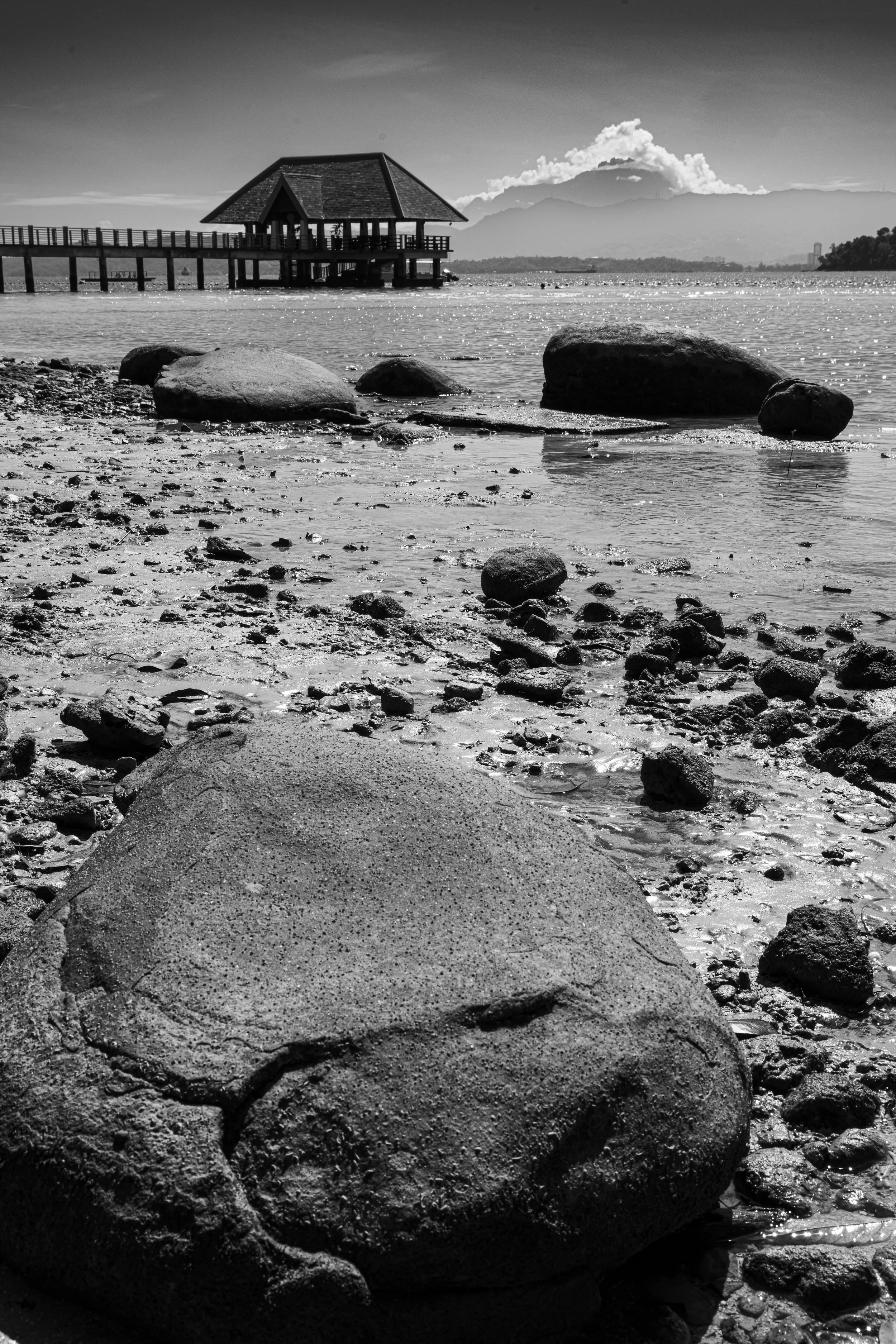 Sing & Borneo  (487).JPG