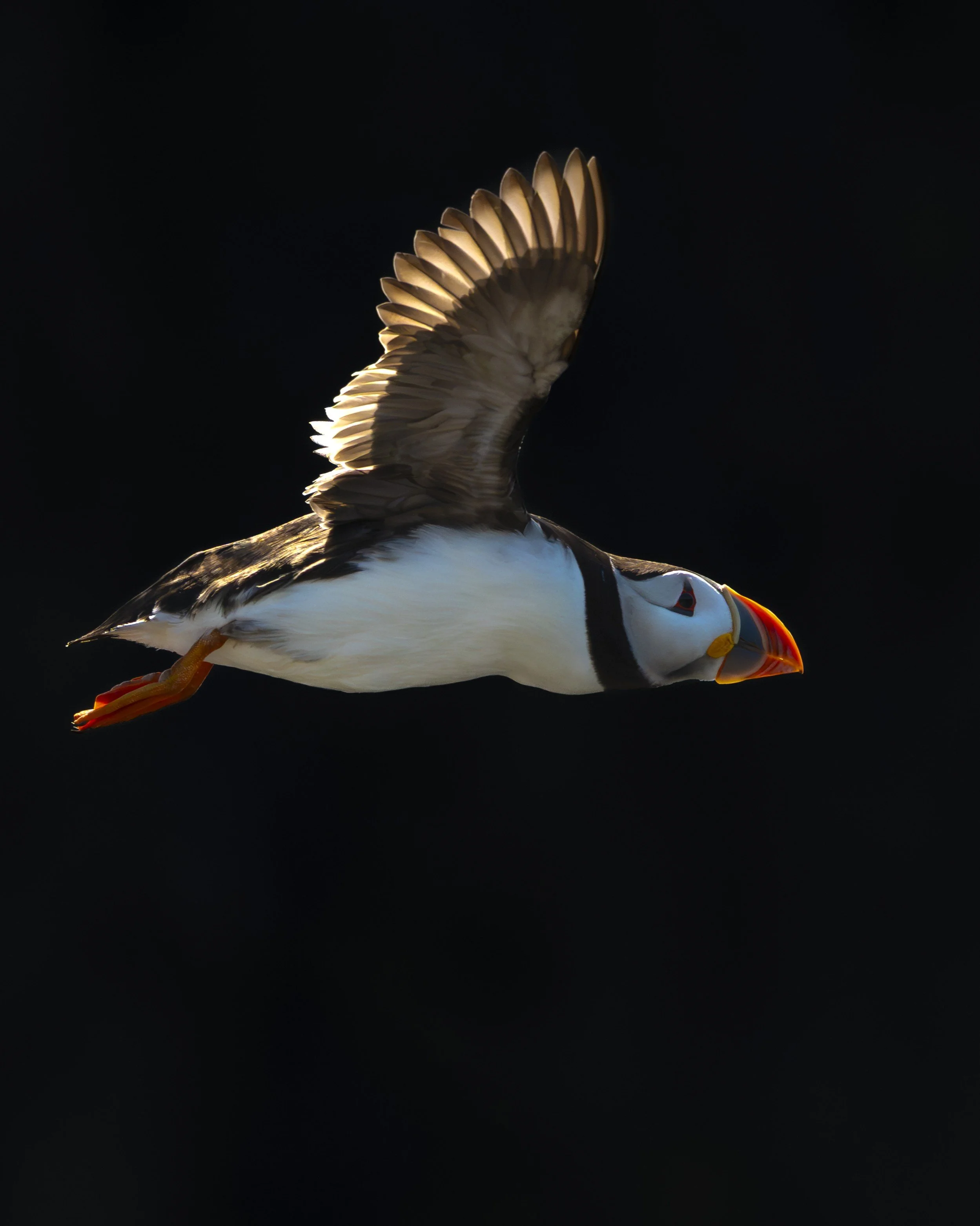 GB Coast 25 (3837).JPG