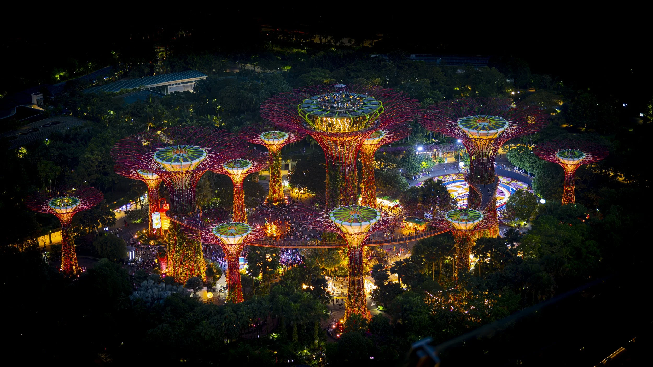 Sing & Borneo  (210)-Enhanced-NR.jpg
