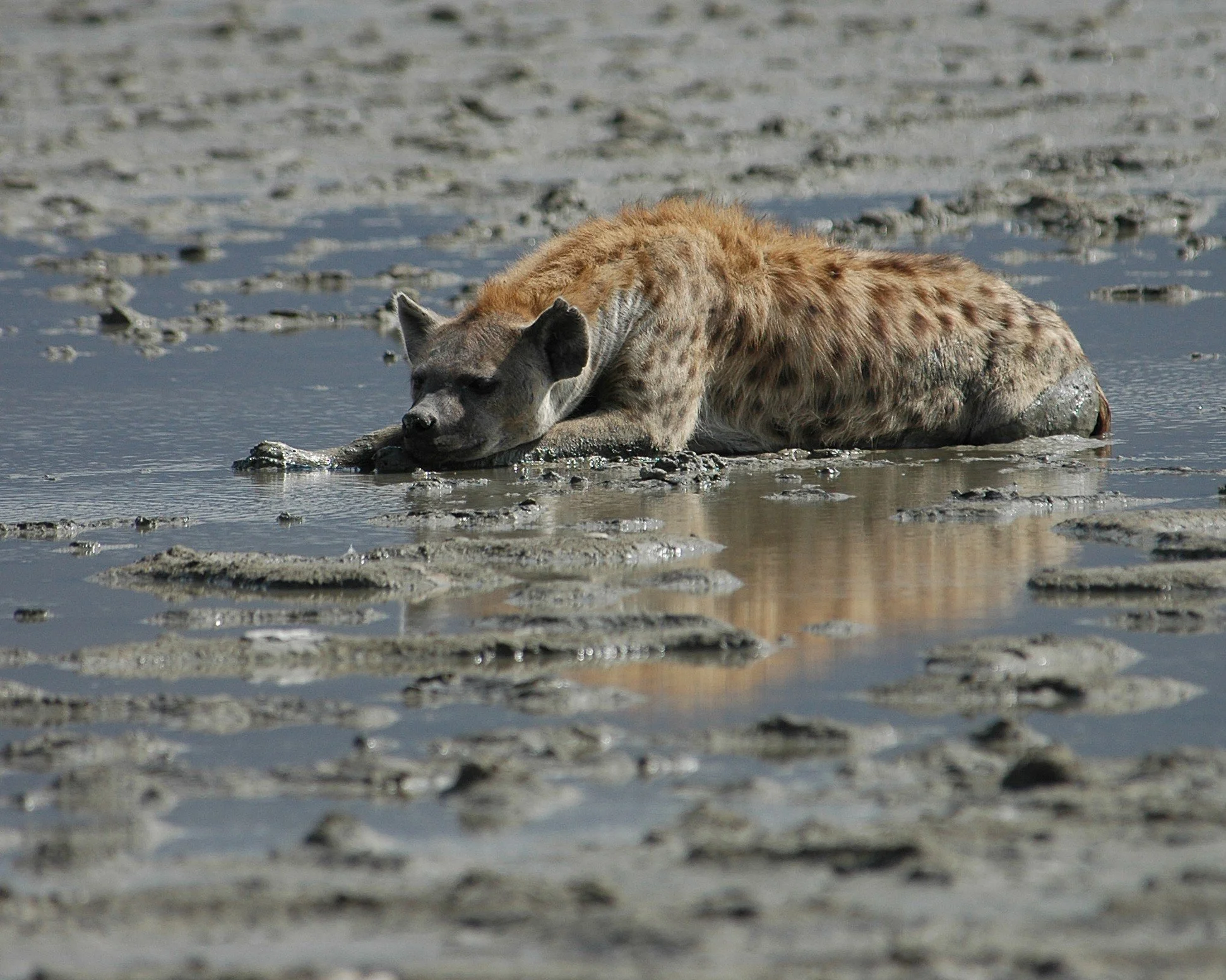 10DSC_0128.JPG