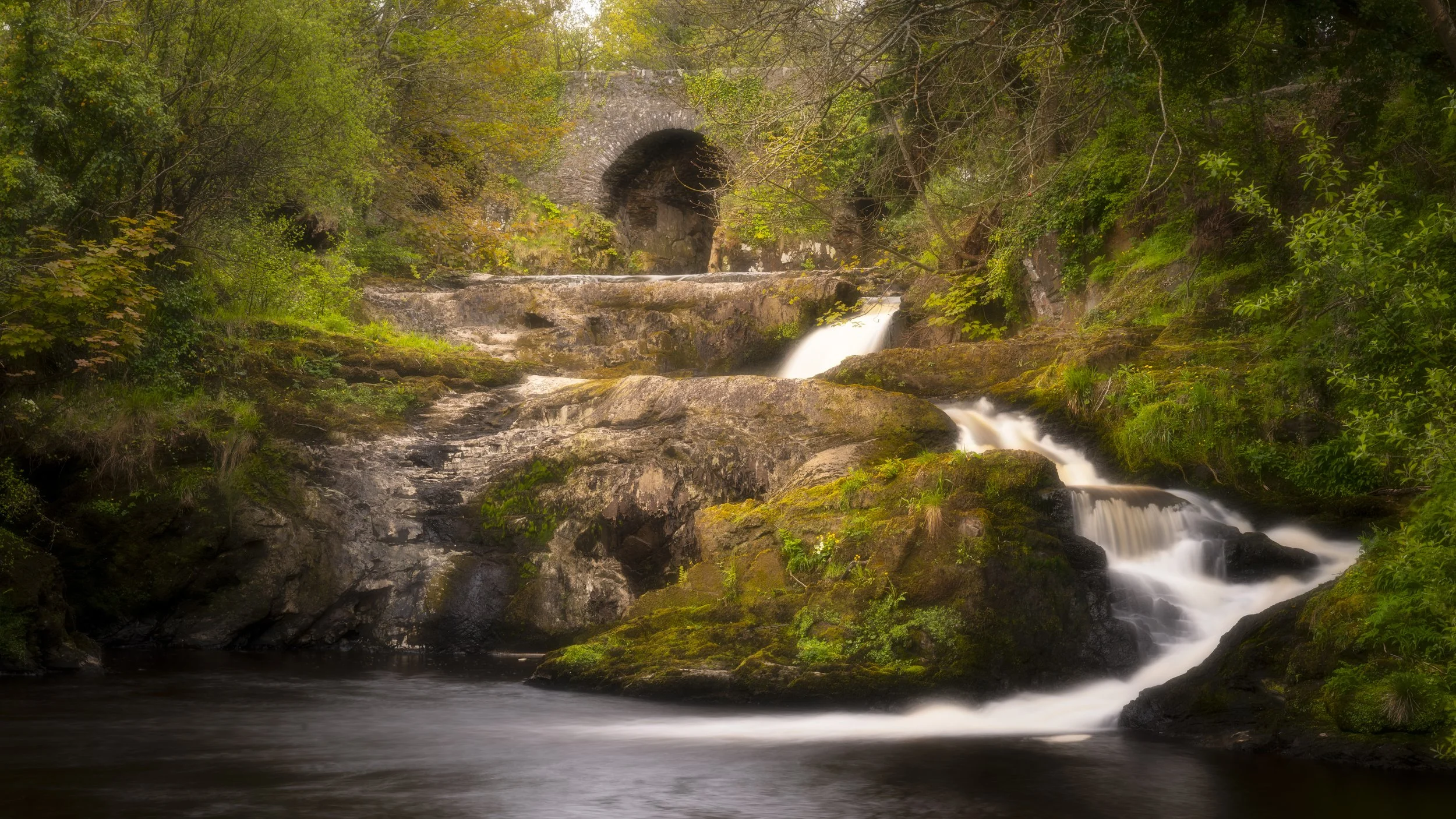 Ireland - Apr 2026 (814)-Edit.JPG