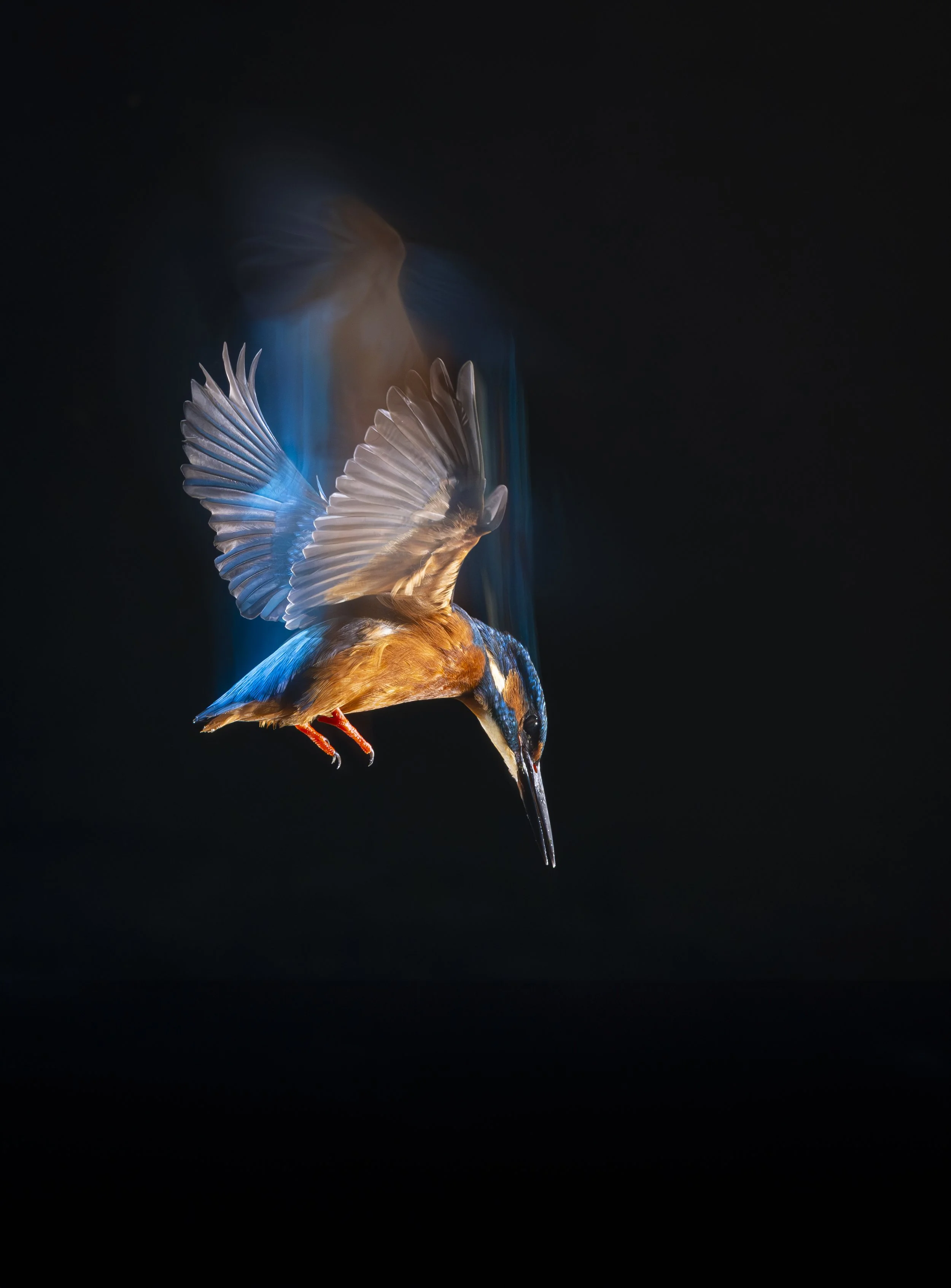 Bourne Hide - Nov 24  (374)-Enhanced-NR-Edit.JPG