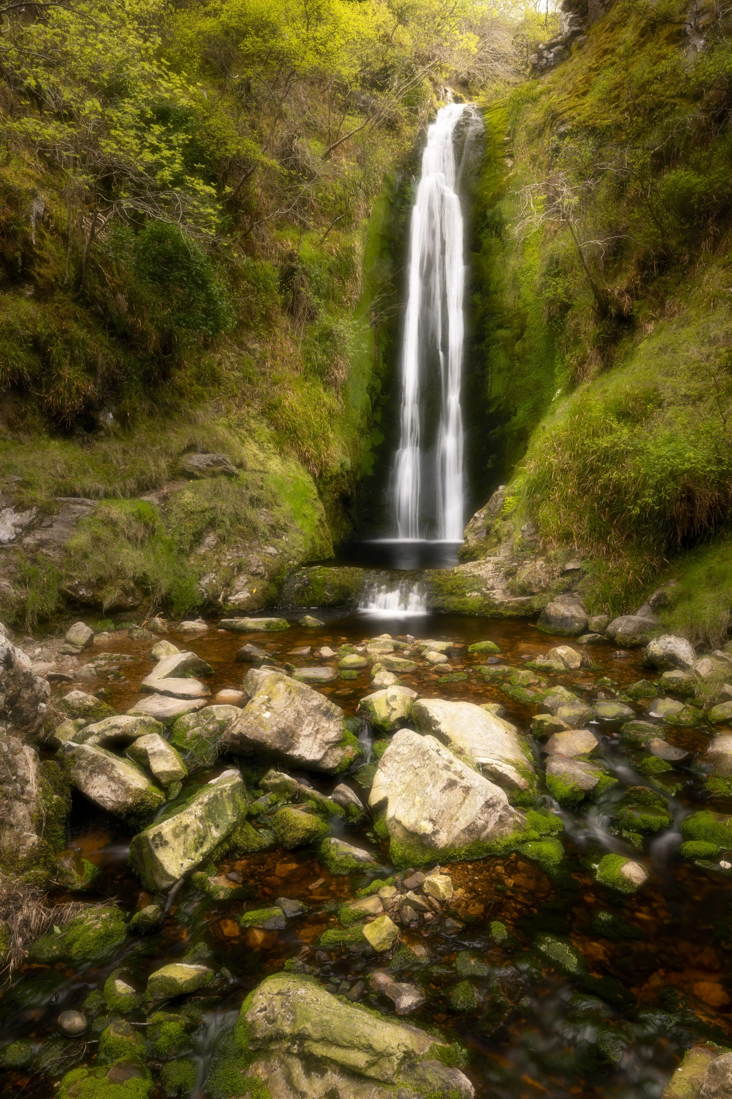 Ireland - Apr 2026 (835)-Edit.JPG