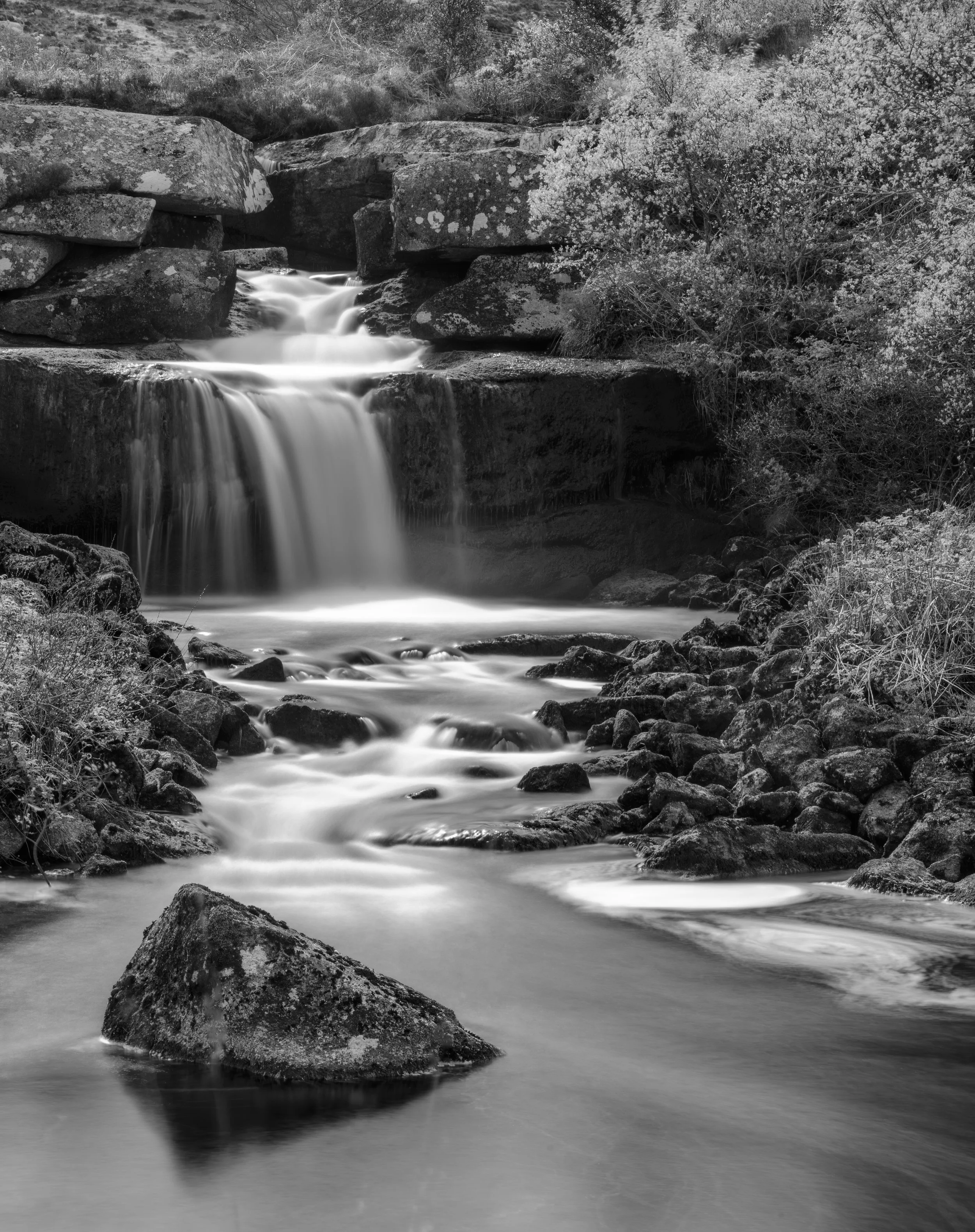 Ireland - Apr 2026 (571)-Edit.JPG