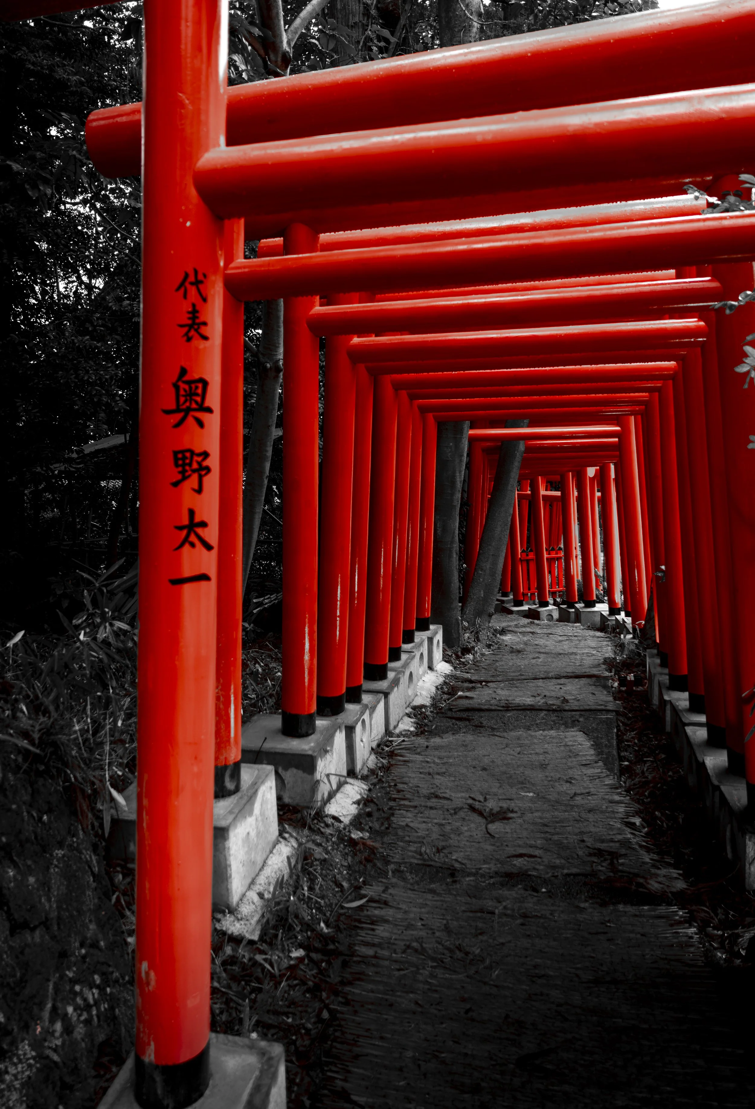 Japan 2020 (1157).JPG