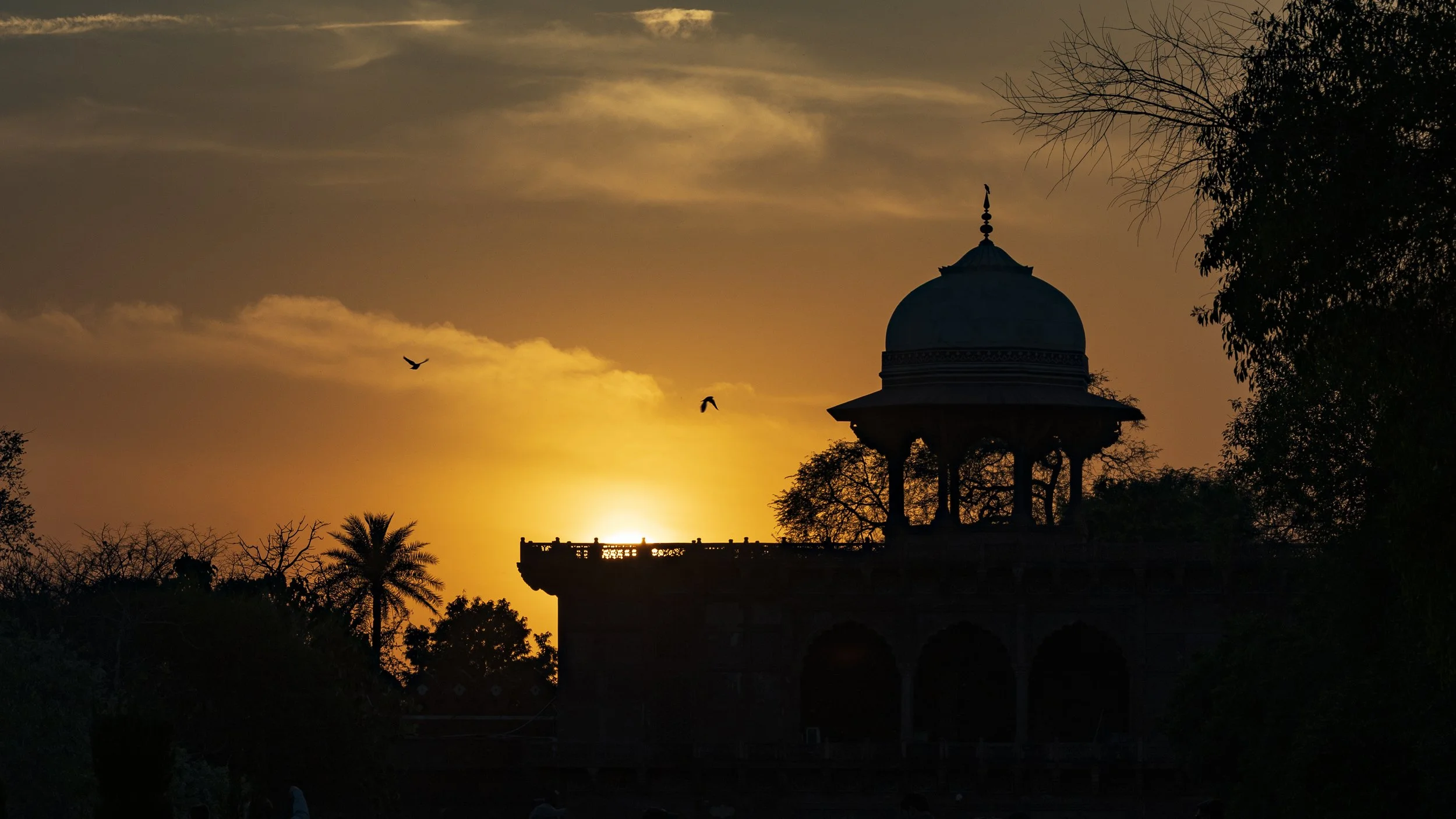 India - March 2025  (528).JPG