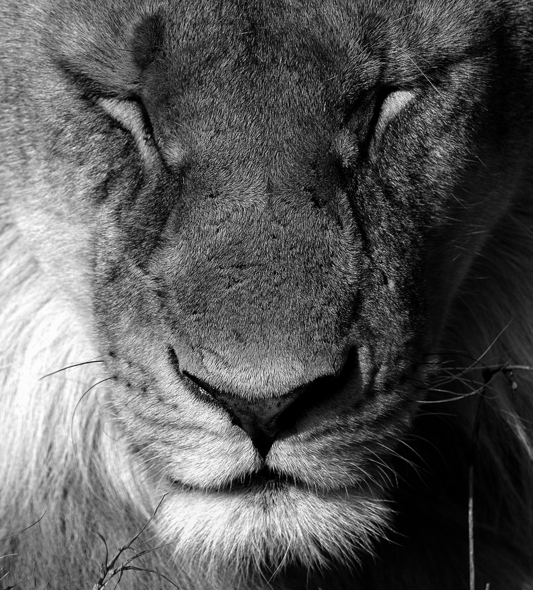 7DSC_0070a-Tanaznia 20025.jpg