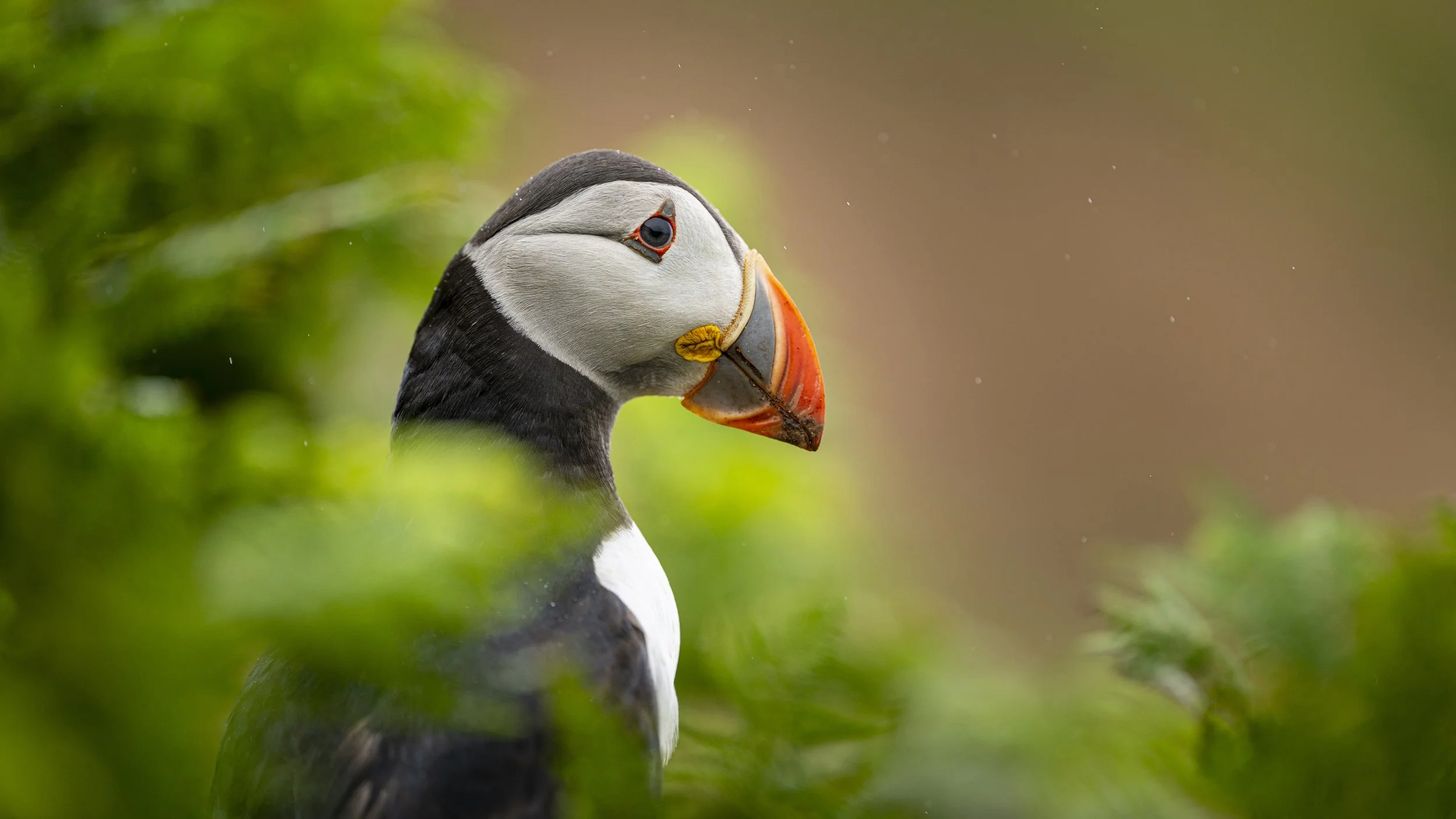 GB Coast 25 (150).JPG