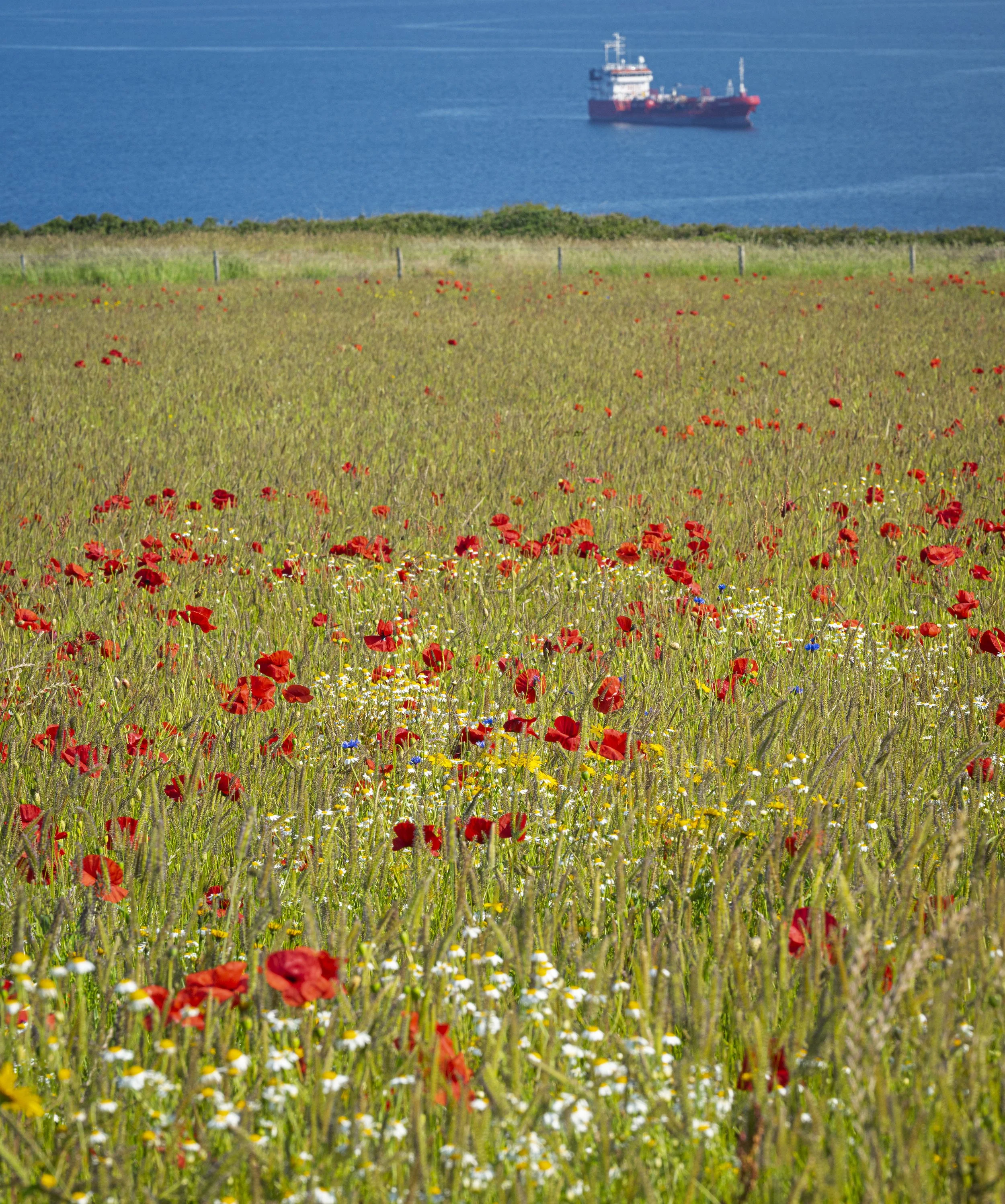 GB Coast 25 (1723).JPG