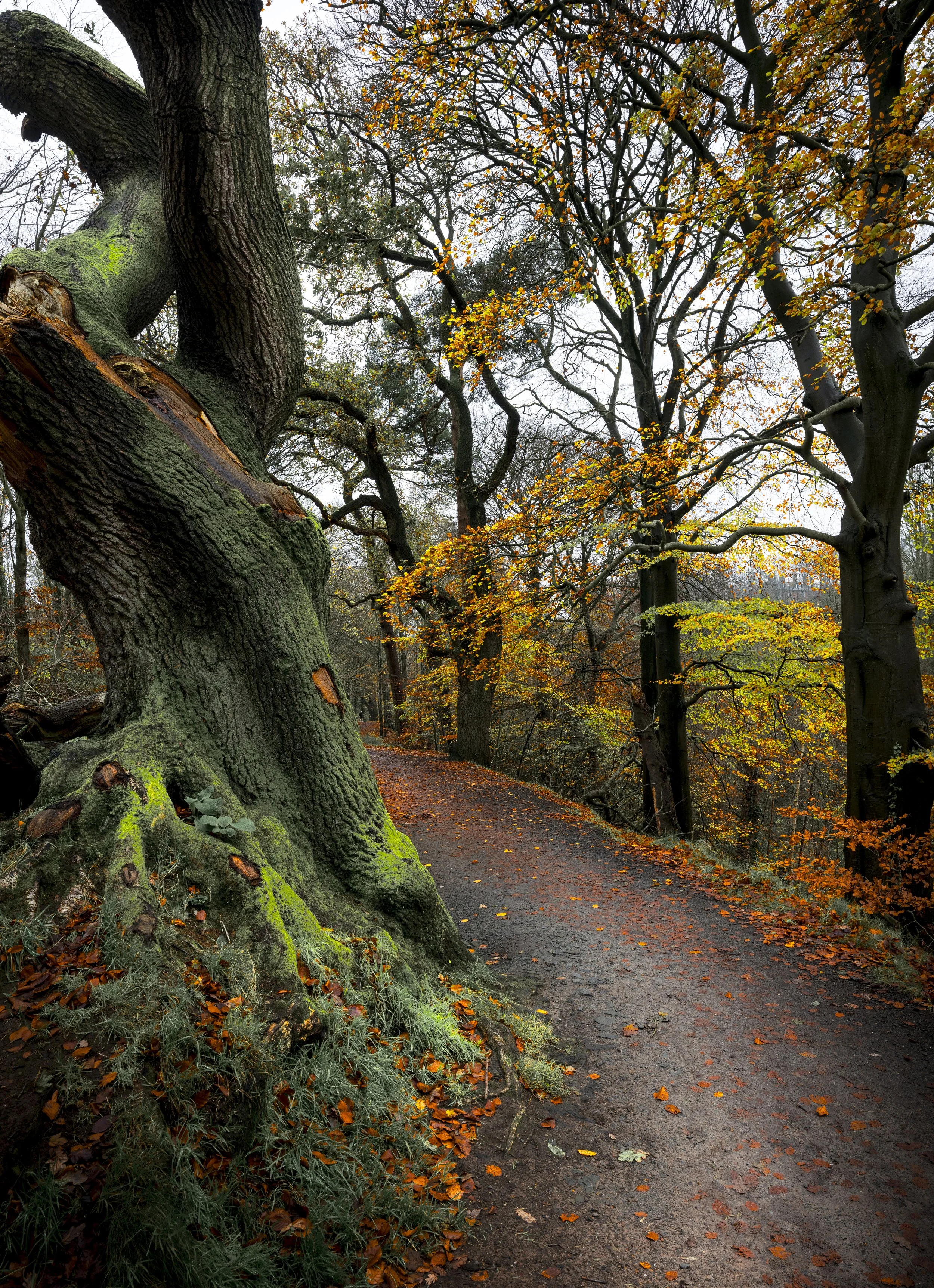 Northern Ireland - Nov 2025 (8).JPG