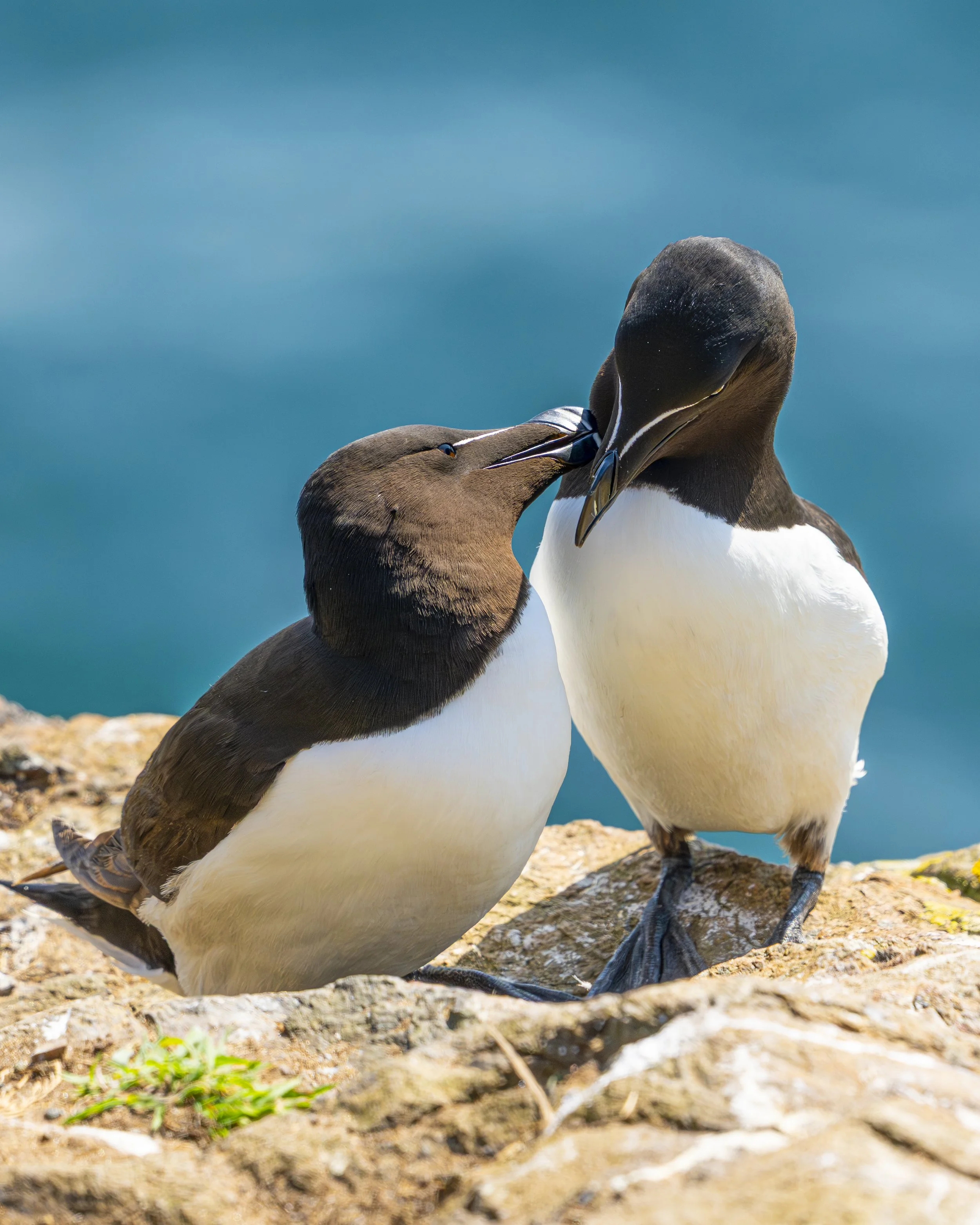 GB Coast 25 (1091)-Edit-2.JPG