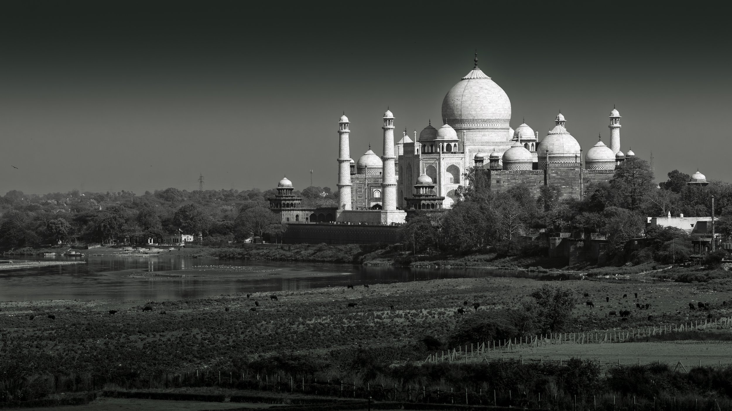 India - March 2025  (440).JPG