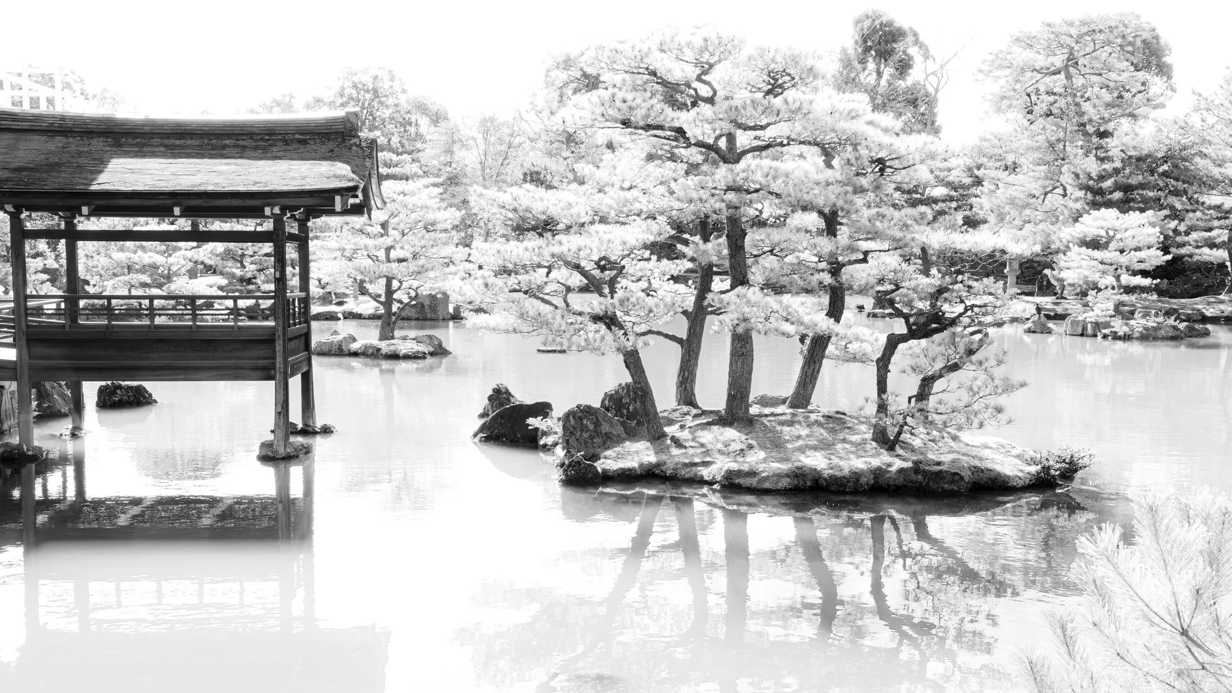 Japan 2020 (1687).JPG
